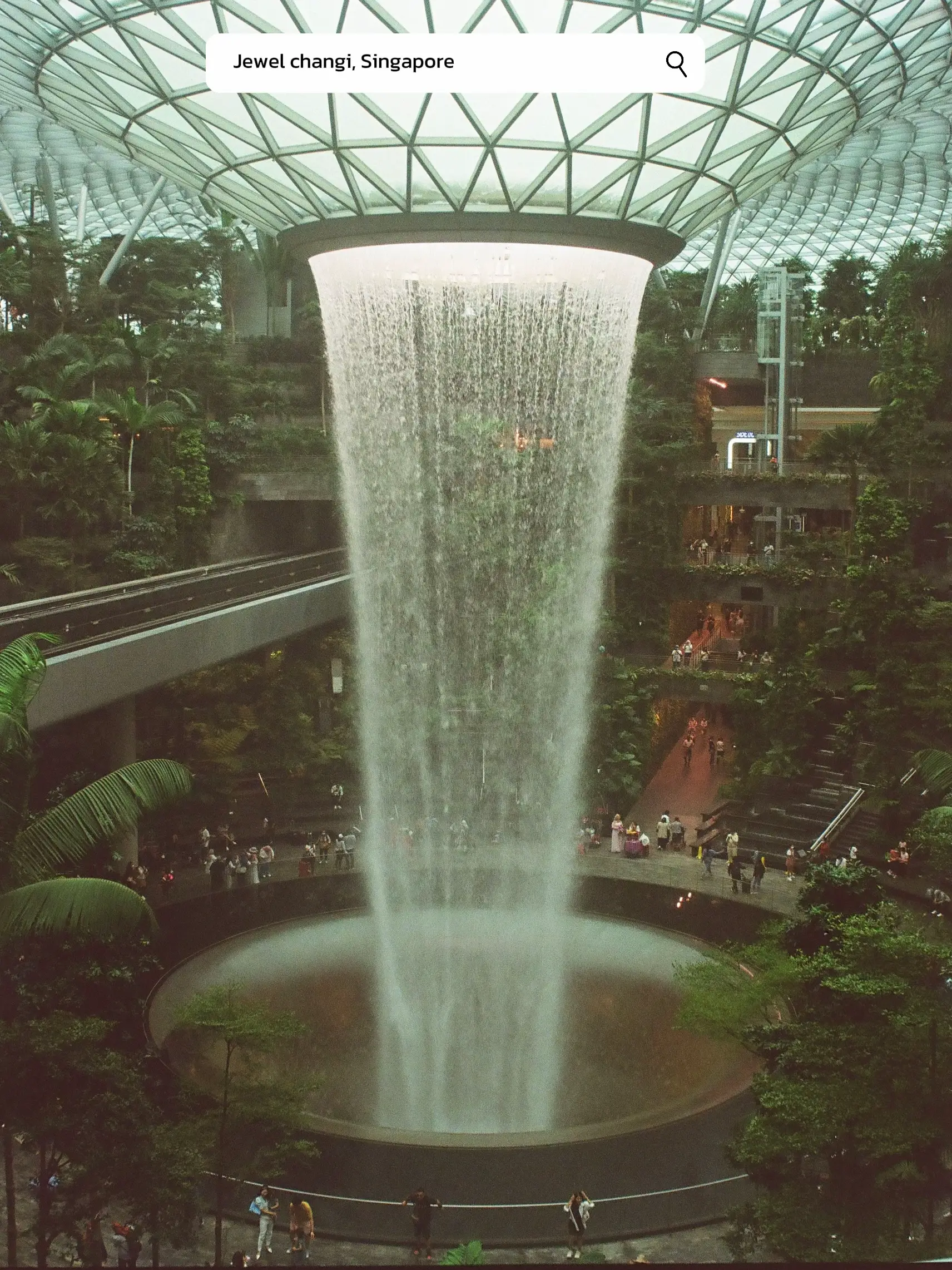 🇸🇬シンガポールでの最初または最後の旅行、空港のお土産。✈️🍃 | Meawmile🐿️が投稿したフォトブック | Lemon8