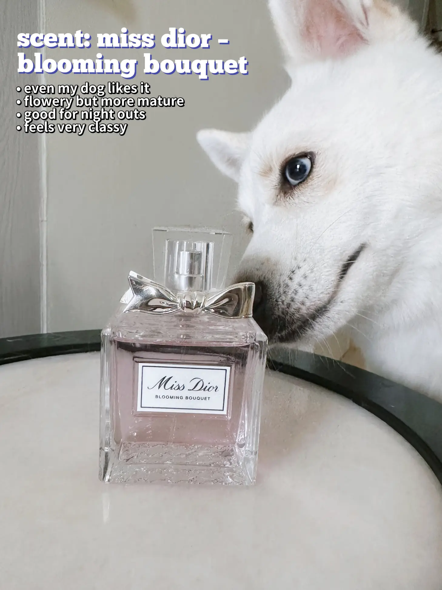 i m scared to be stinky favourite perfumes Gallery posted by jing Lemon8