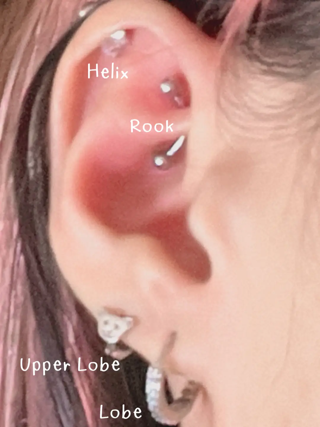 Is NoPull Piercing Disc a real thing? : r/piercing