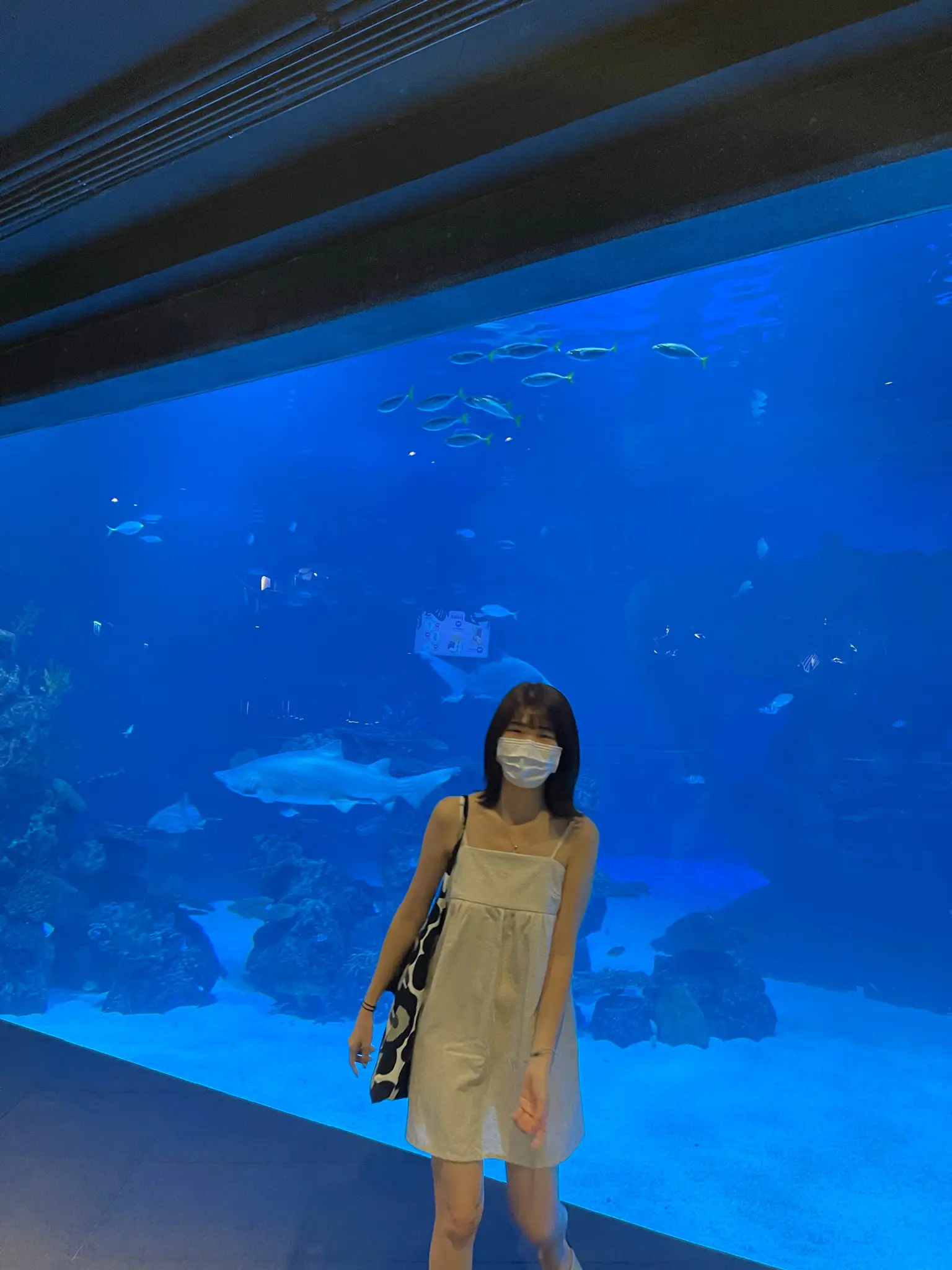 aquarium Outfits、Share、Reviews Z-Me Clothing Community