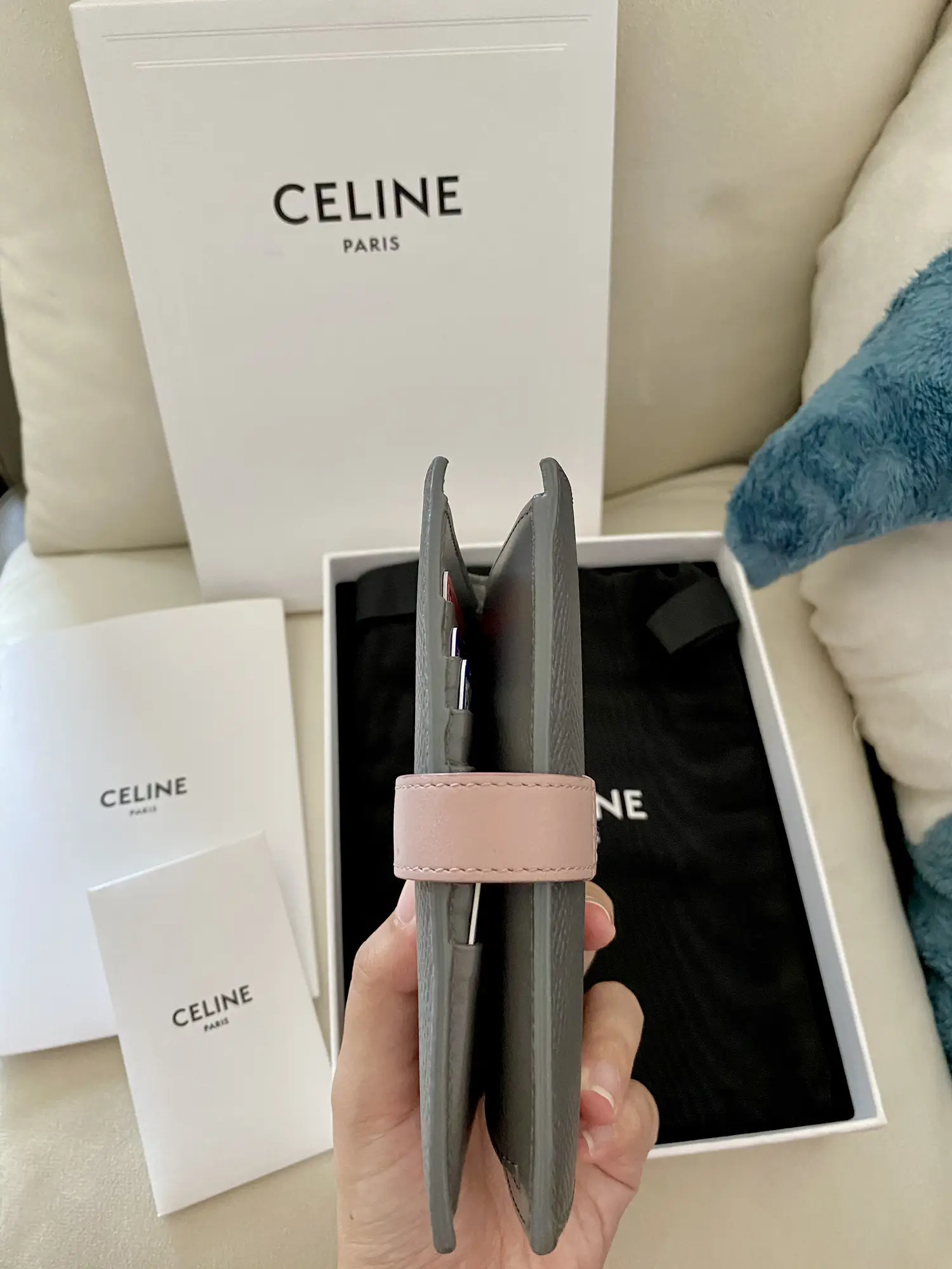 Unbox Celine wallet on strap in Triomphe Canvas and Smooth Lambskin 