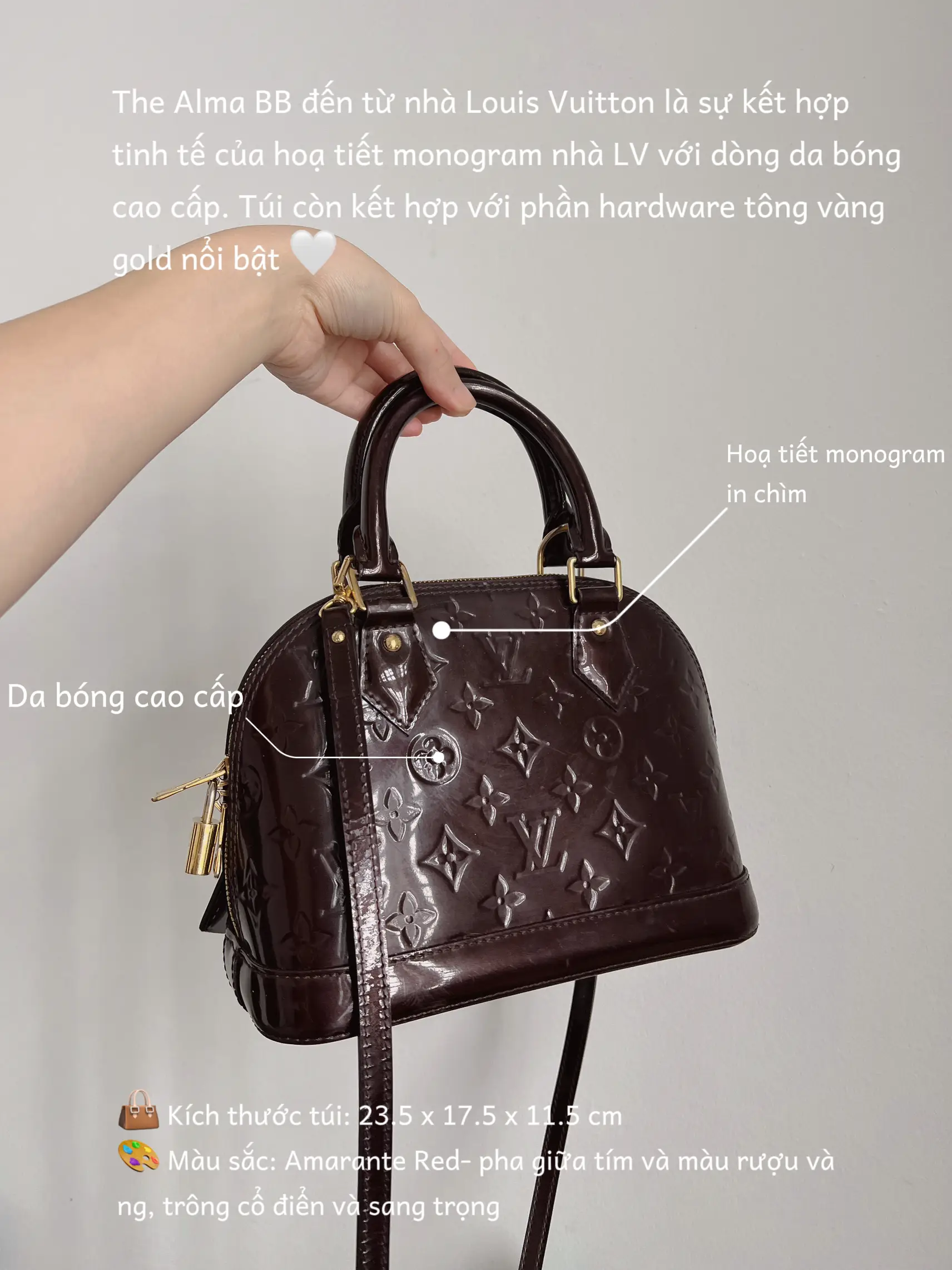 3 Looks with Louis Vuitton Petit Sac Plat, Video published by  Natasshanjani