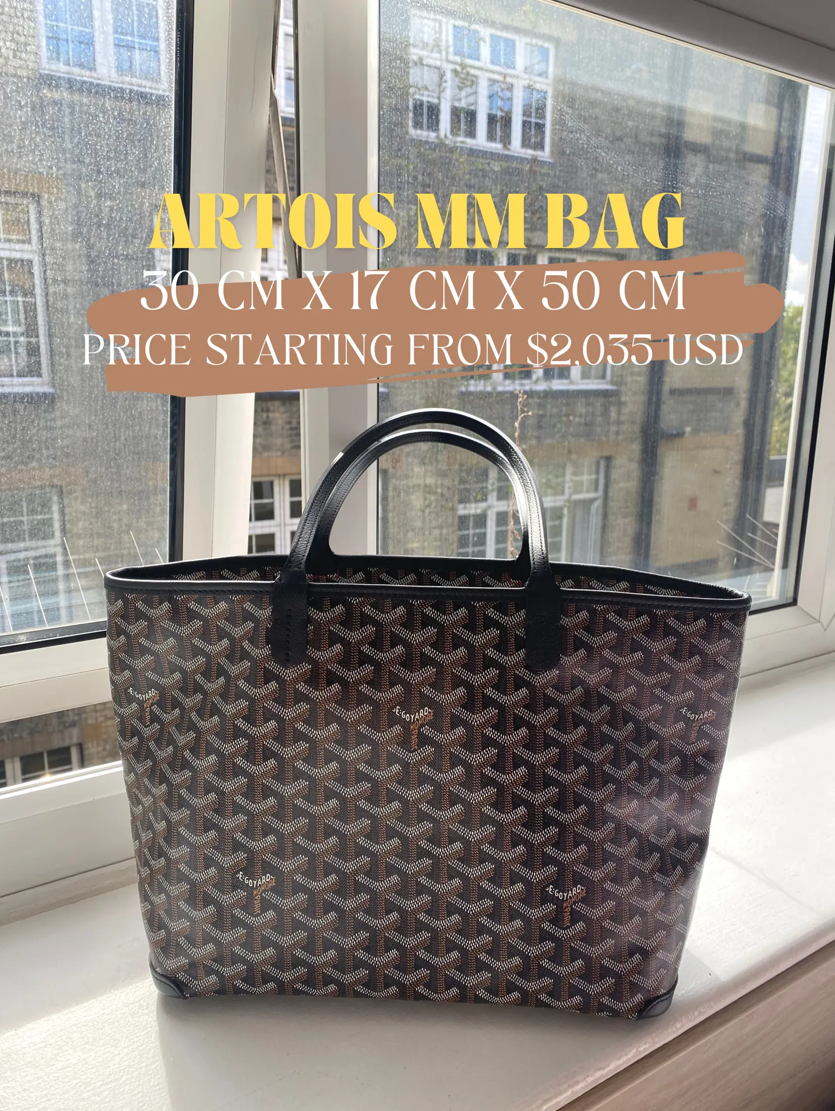 Goyard Artois bag vs. Saint Louis - Lemon8 Search