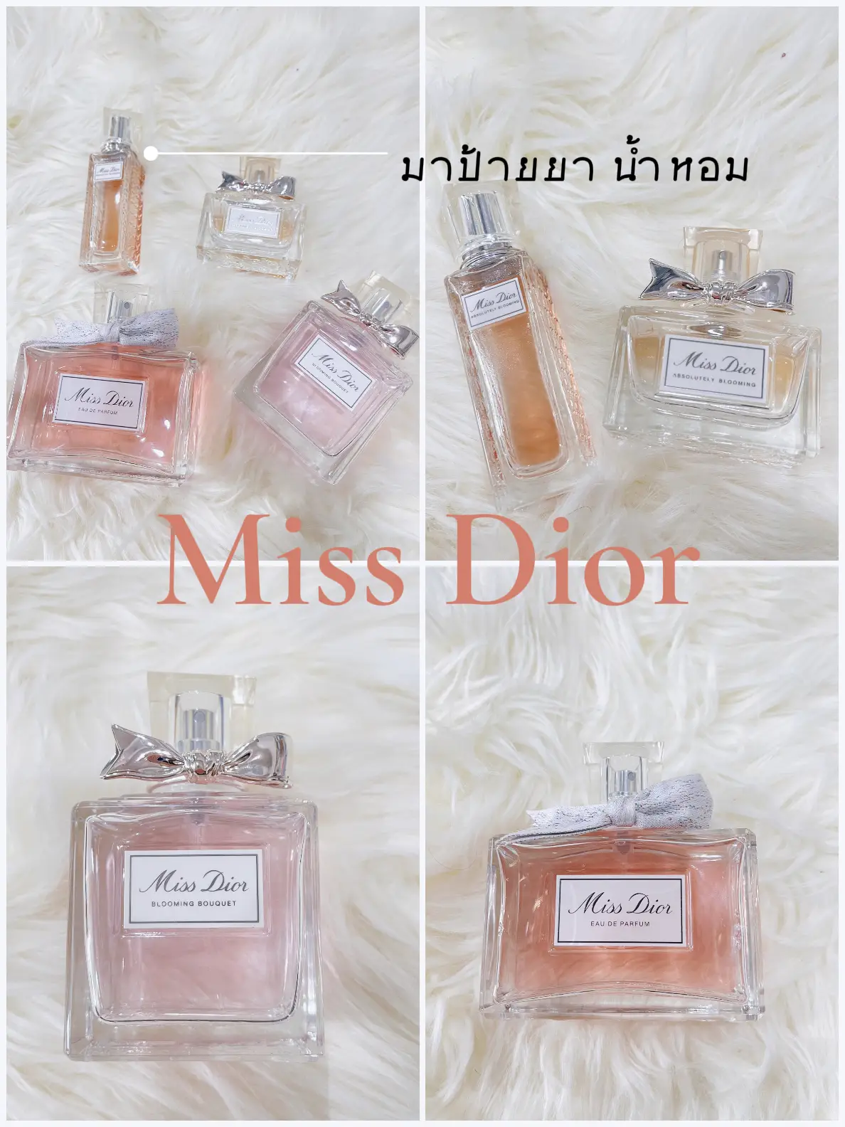 10 Miss Dior Pantip 2024