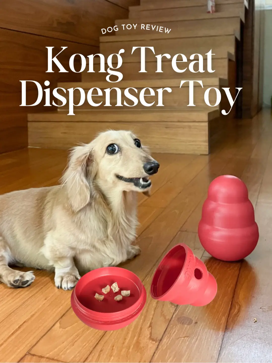 KONG Wobbler Dog Toy Review (+ How To Use It)
