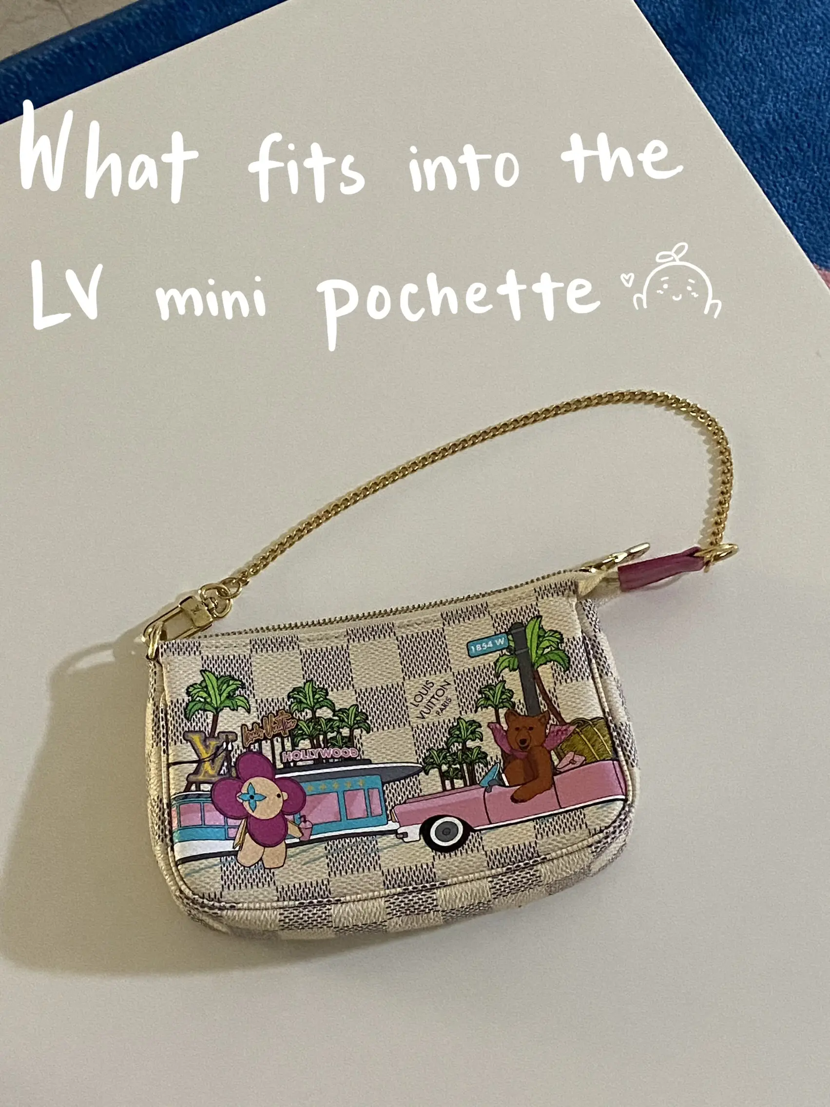 LOUIS VUITTON Multi Pochette Accessories, Gallery posted by Amelix