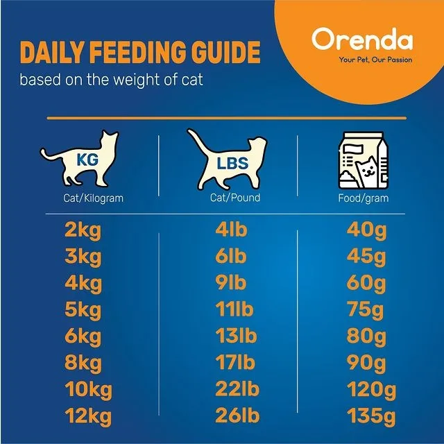 How Much Should I Feed My Cat Galeri disiarkan oleh Orenda Lemon8