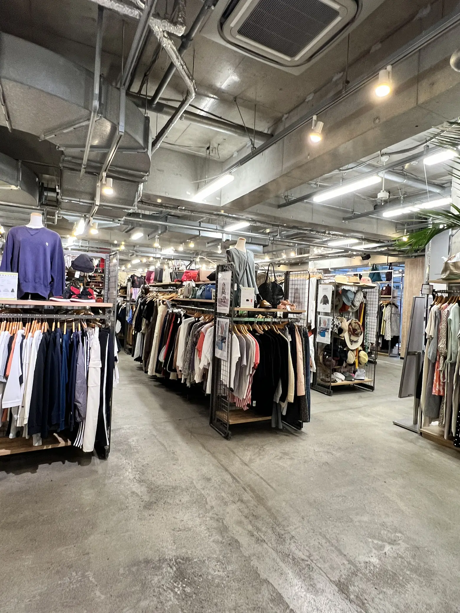 Guide to 🧥Thrifting in Kyoto: What to do in 🇯🇵 | Gallery posted by Nessa  | Lemon8