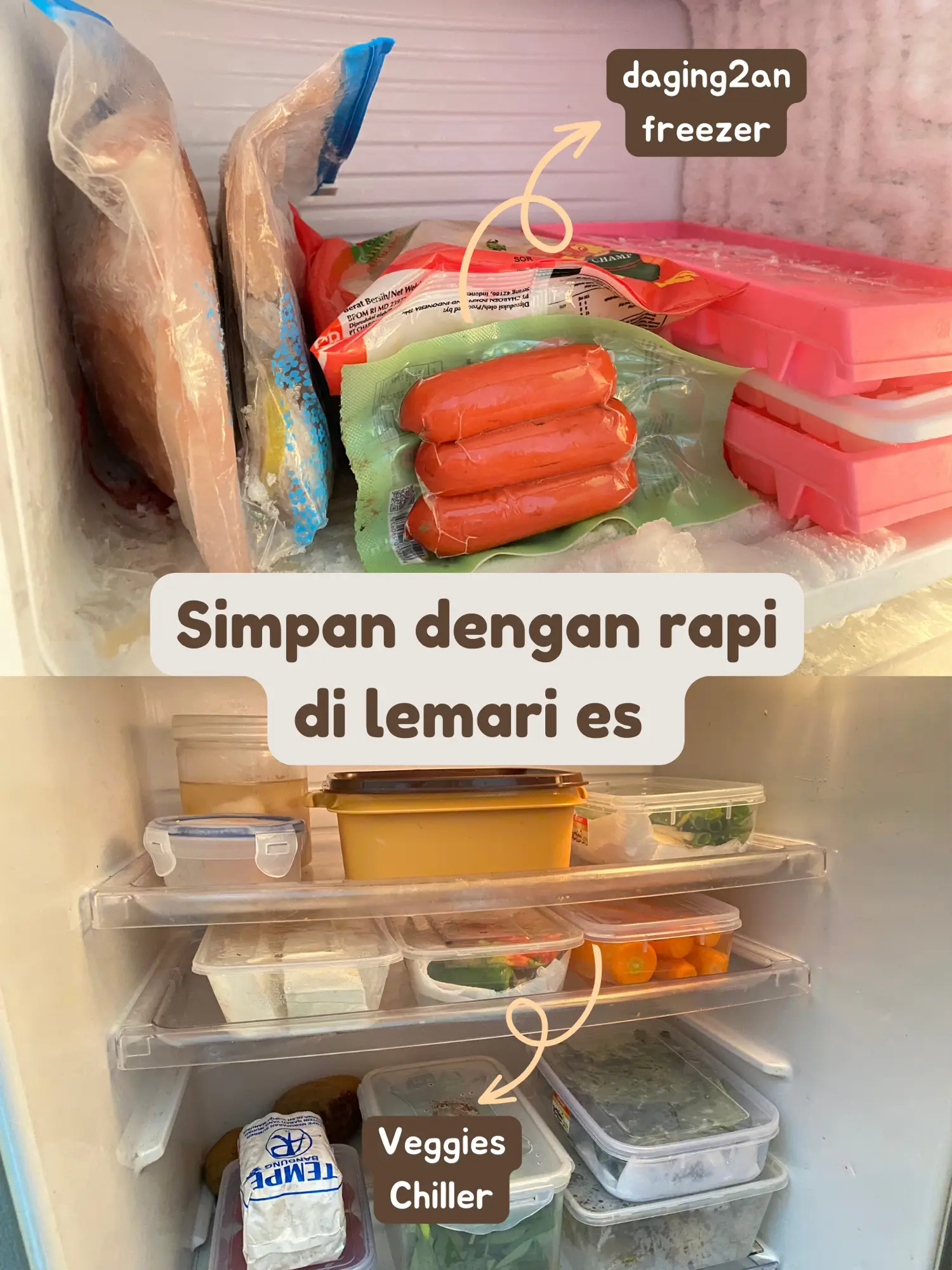 💵meal Plan Anak Kost Minggu Ke 1 Auto Hemat 🤩 🙌🏻 Galeri Diposting