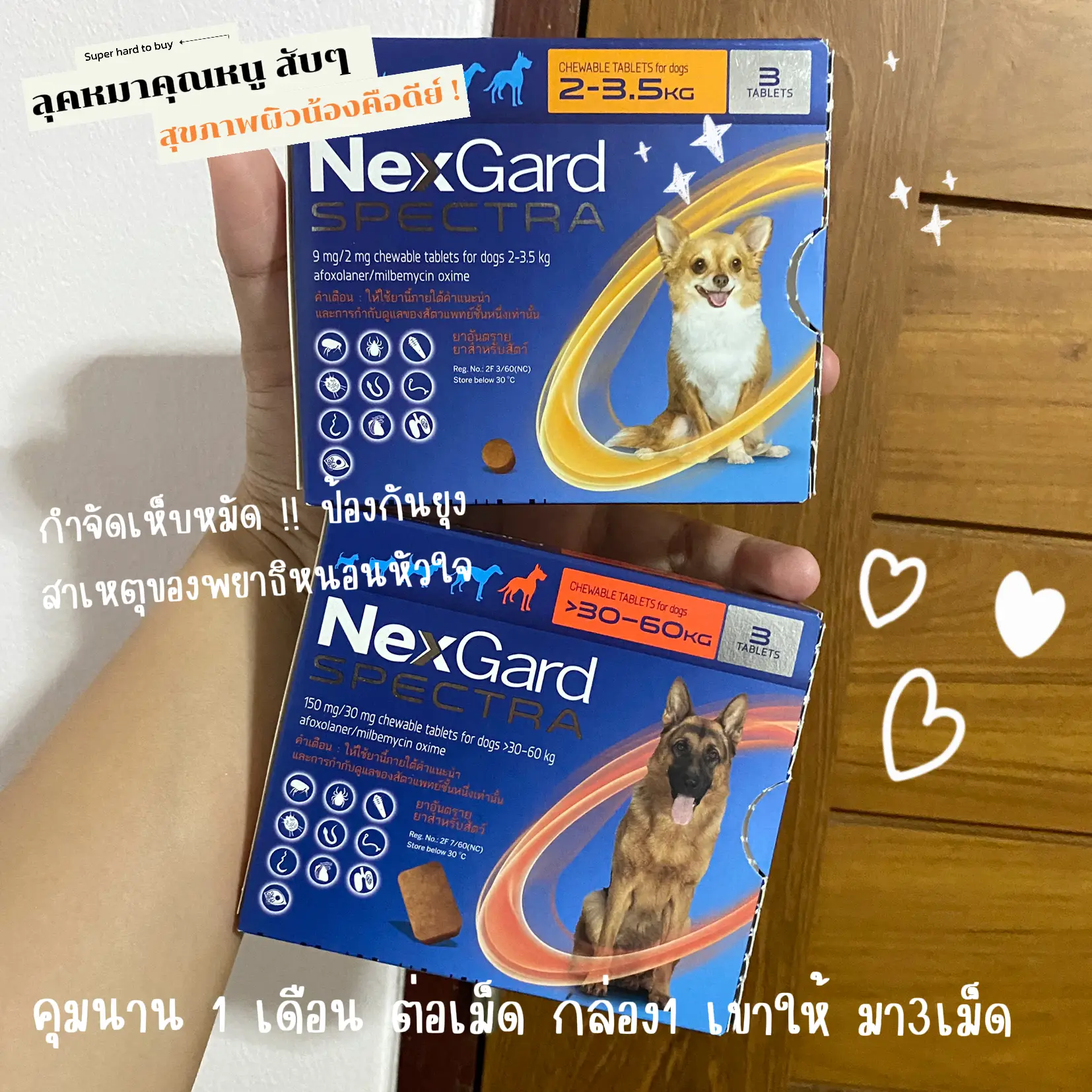 Nexgard spectra 🐶🐶 flea tick remover without leprosy heartworm