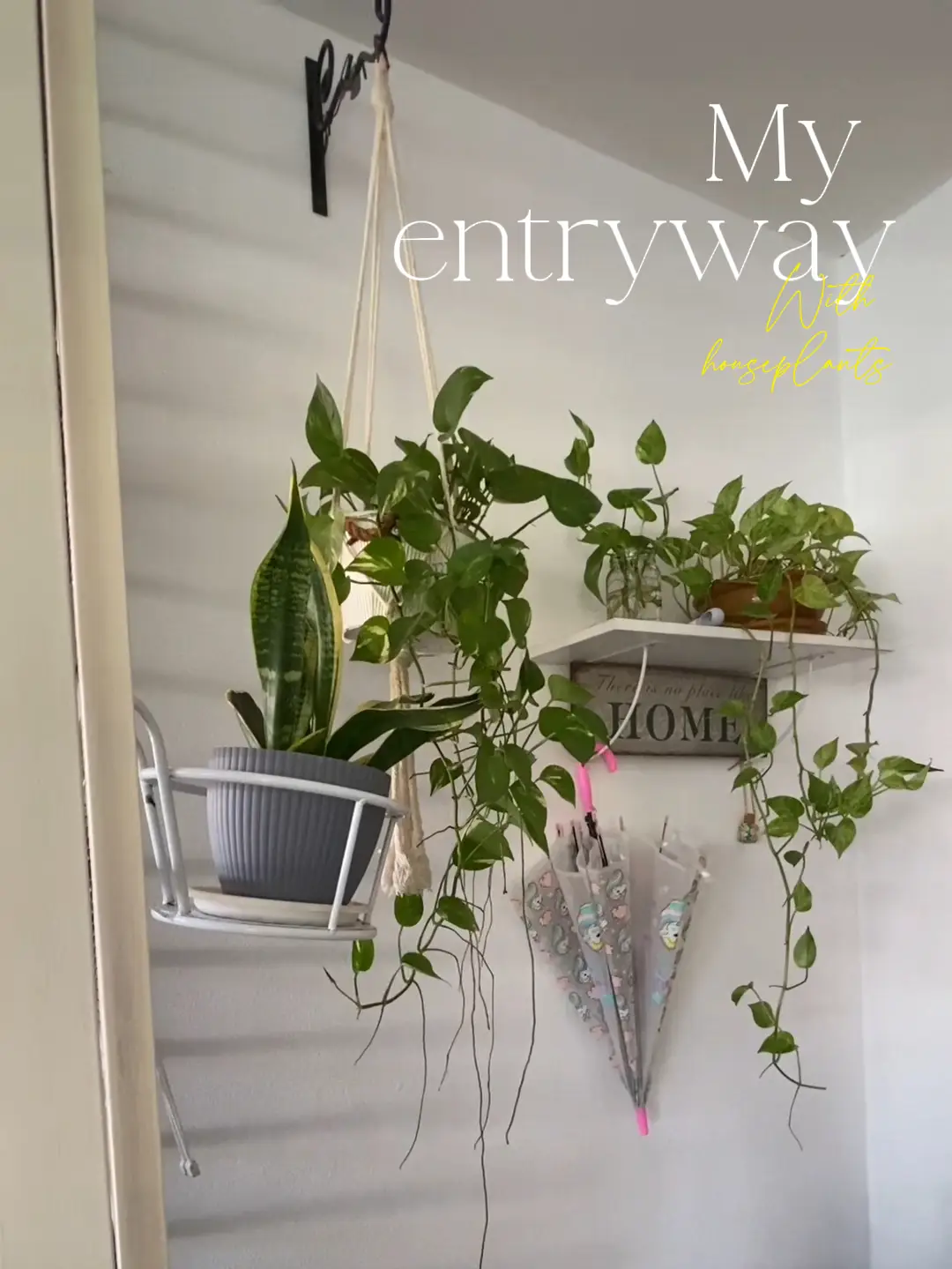 Jom deko entryway dengan indoor plants!, Video published by Jue@PulauAngsa