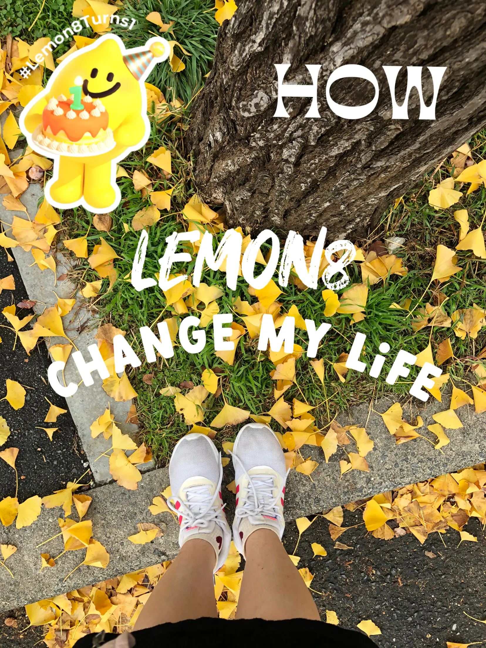 Ini 3 Big impact how Lemon8 change My Life! แกลเลอรีที่โพสต์โดย(00)
