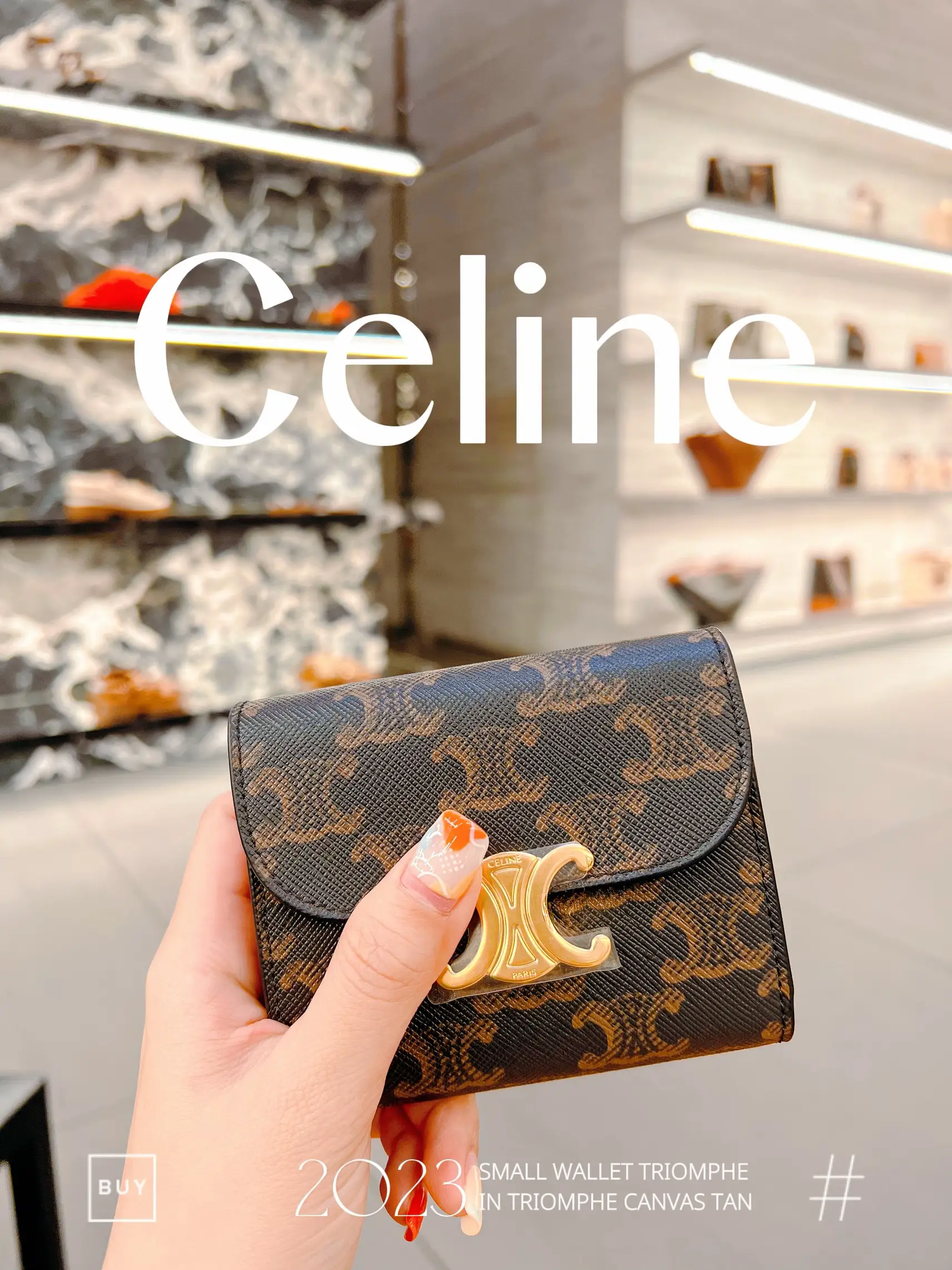 Shop CELINE Triomphe Small Triomphe Wallet In Triomphe Canvas