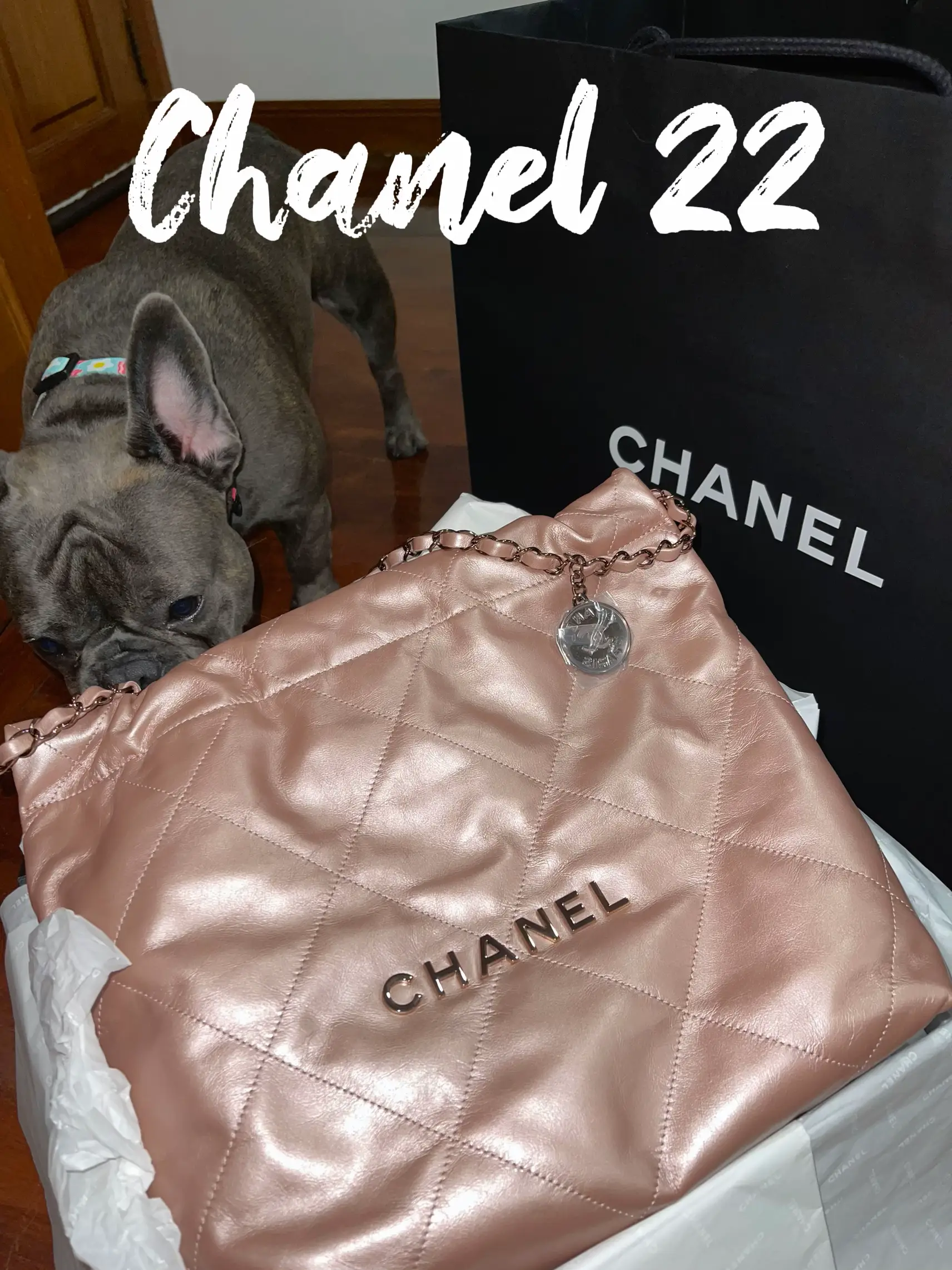 Chanel 22 (small) metallic rosegold 💗💸