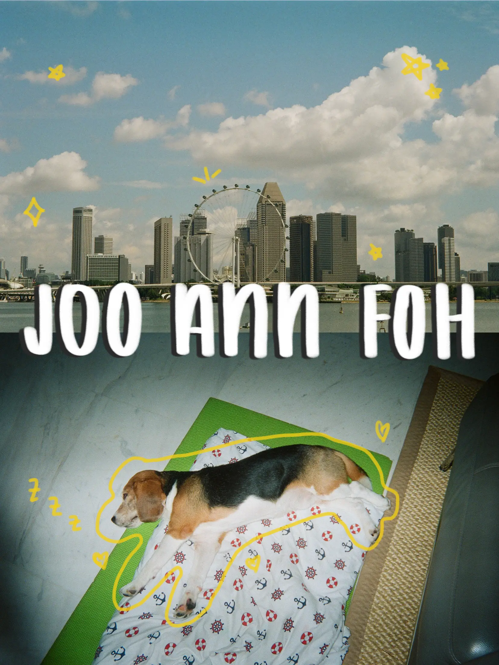 BEST FILM DEVELOPING 🎞️ places SO CHEAP💸 แกลเลอรีที่โพสต์โดย steffi