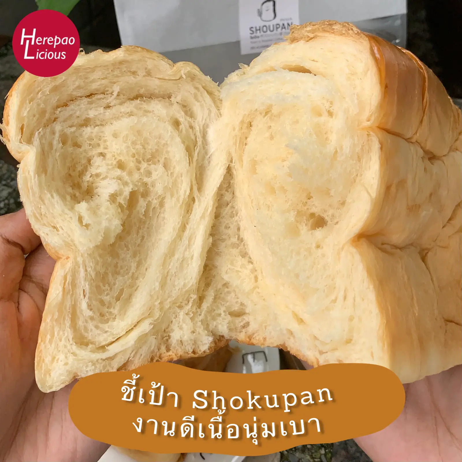 🍞 SHU PAN ปังปิ้งนมสด ขนมปังญี่ปุ่นโฮมเมด หอม นุ่ม ซอสฉ่ำๆ | แกลเลอรี ...