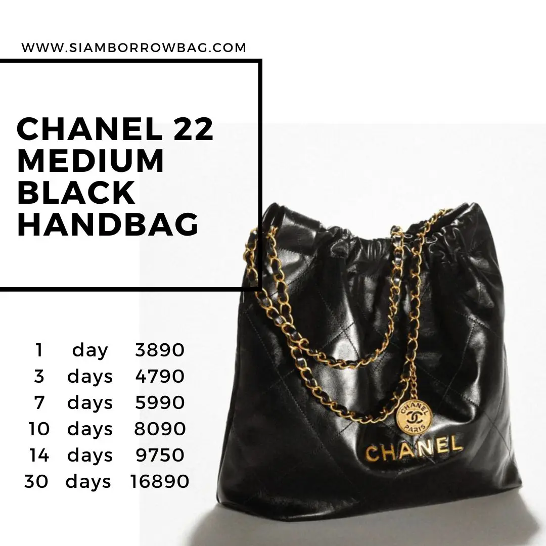 I caved and bought the Chanel 22 : r/chanel