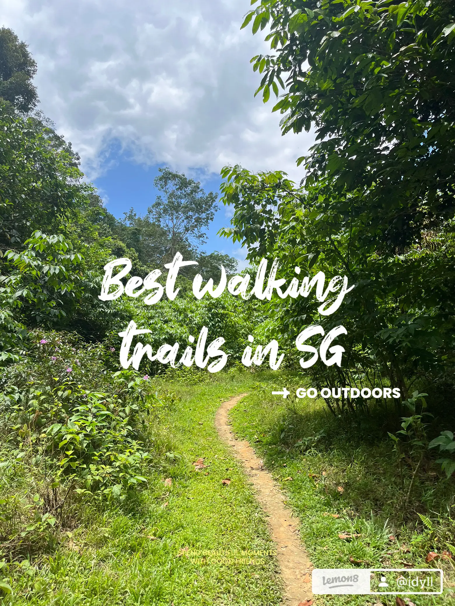 best walking trails in SG 😍🌴🌺's images(0)