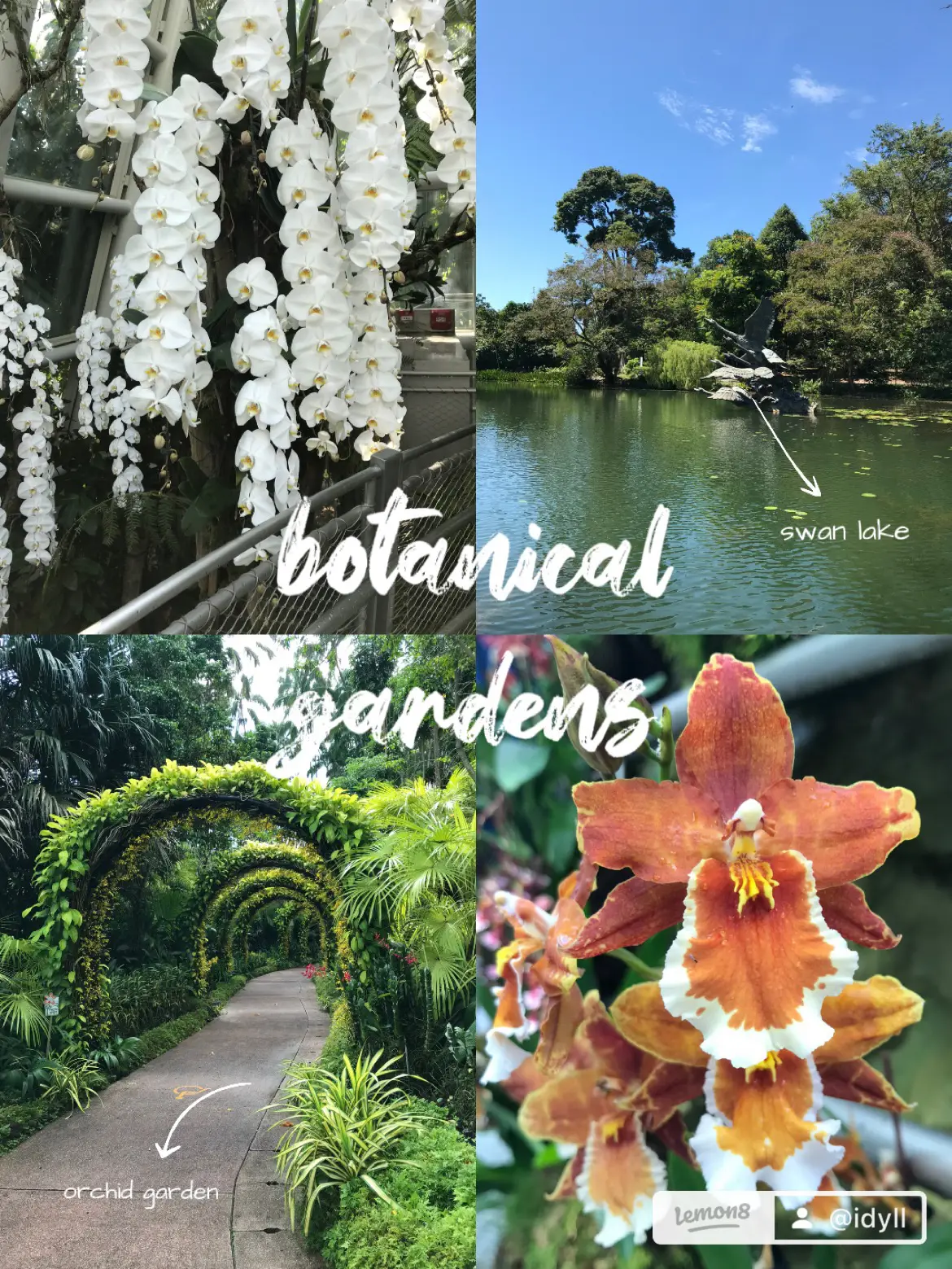 best walking trails in SG 😍🌴🌺's images(3)