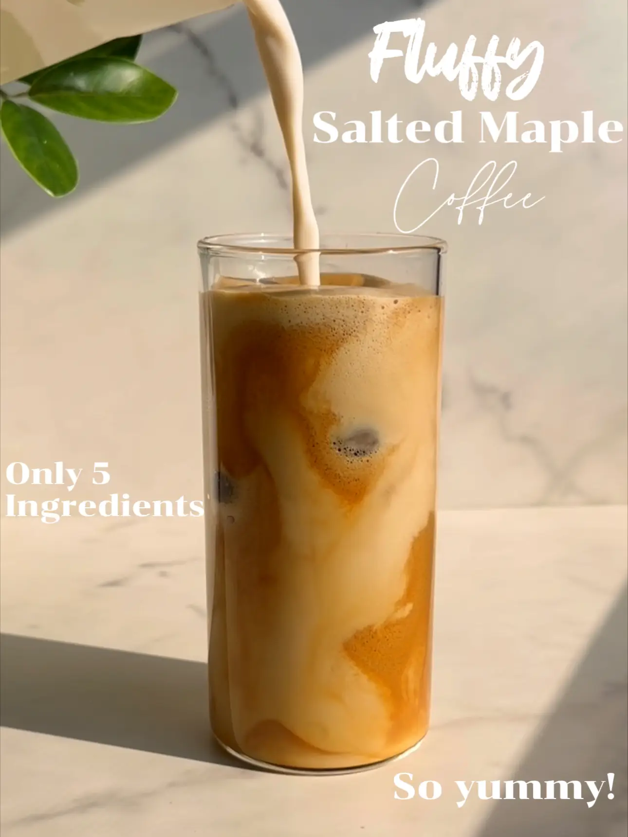 Salted Maple Cold Brew Coffee - The Schmidty Wife