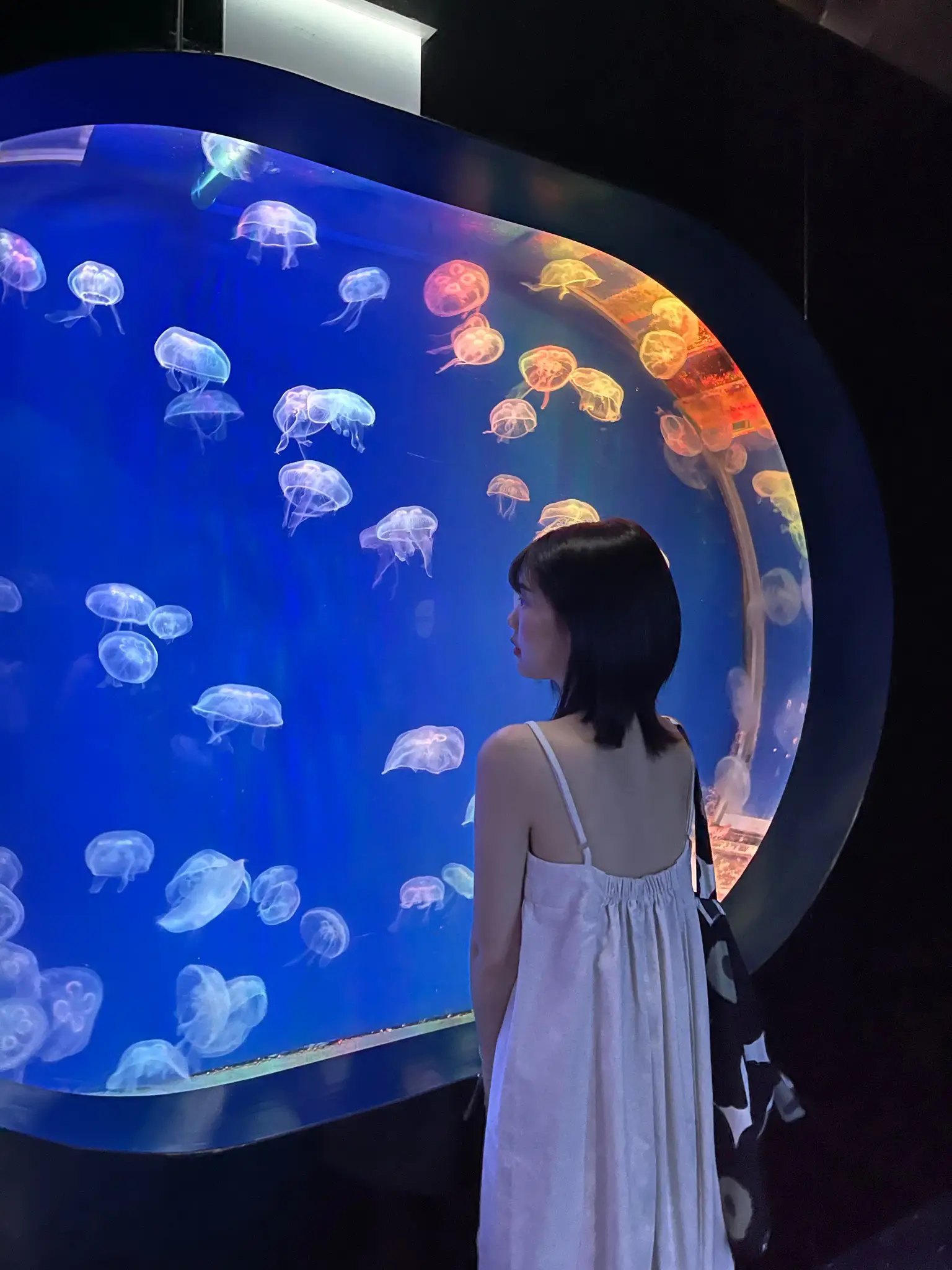 aquarium Outfits、Share、Reviews Z-Me Clothing Community