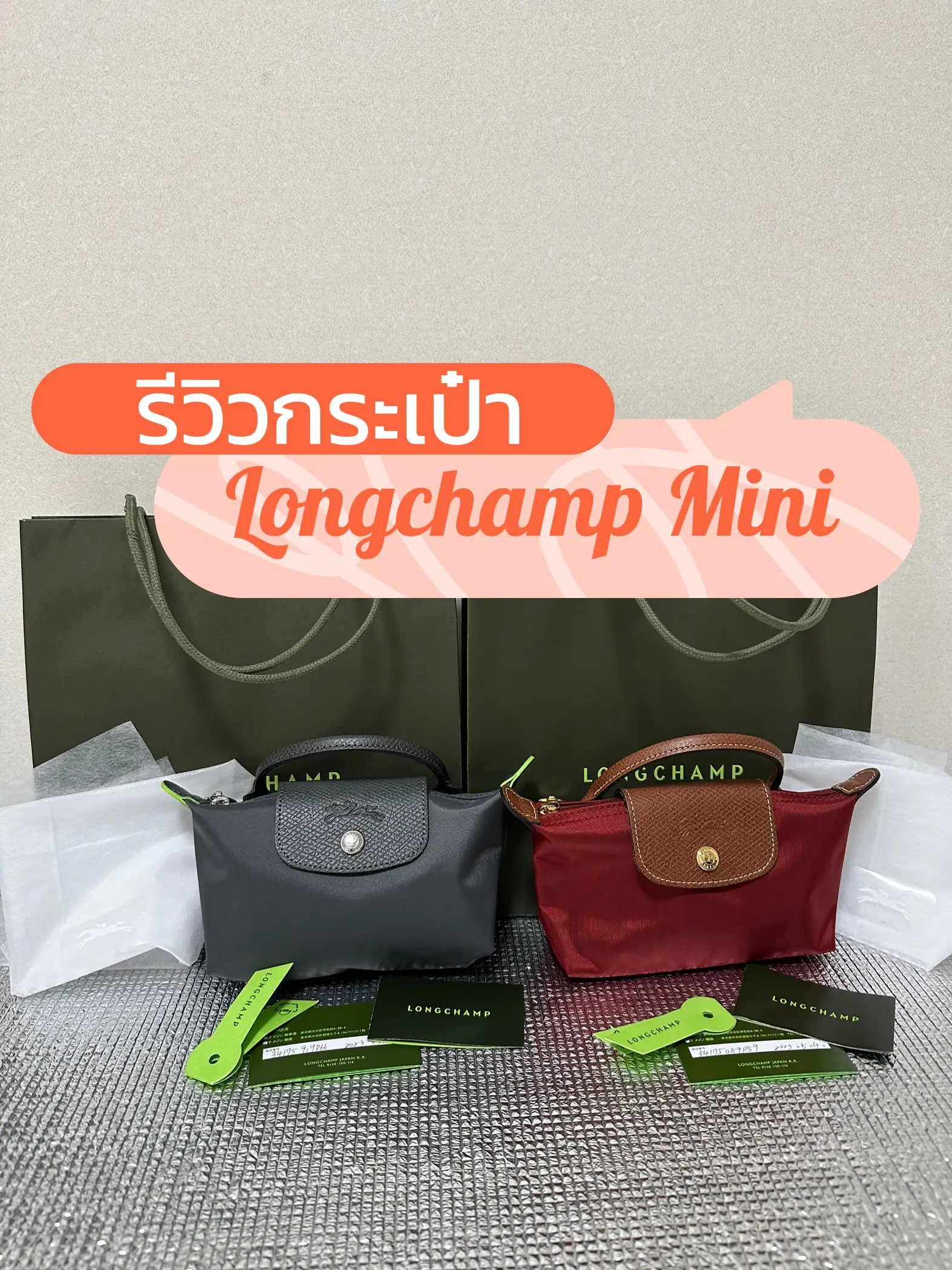 Longchamp Mini Pouch Review, Gallery posted by Mallory Lisa