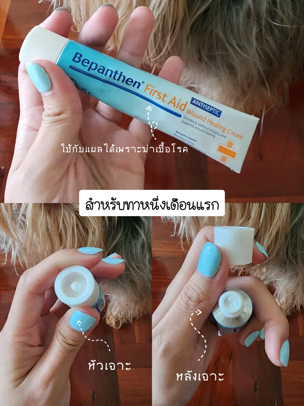 Bepanthen First Aid Antiseptic Cream Tattoo | informacionpublica.svet ...