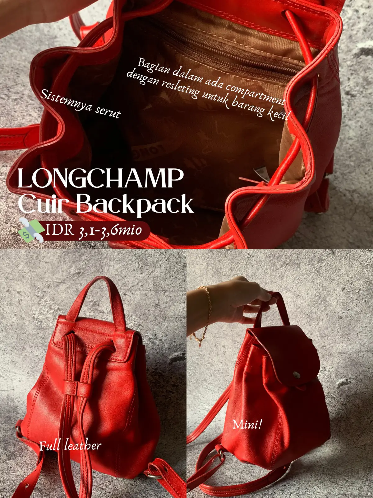 Longchamp Cuir Medium and Small Size Comparison (Part 1) 