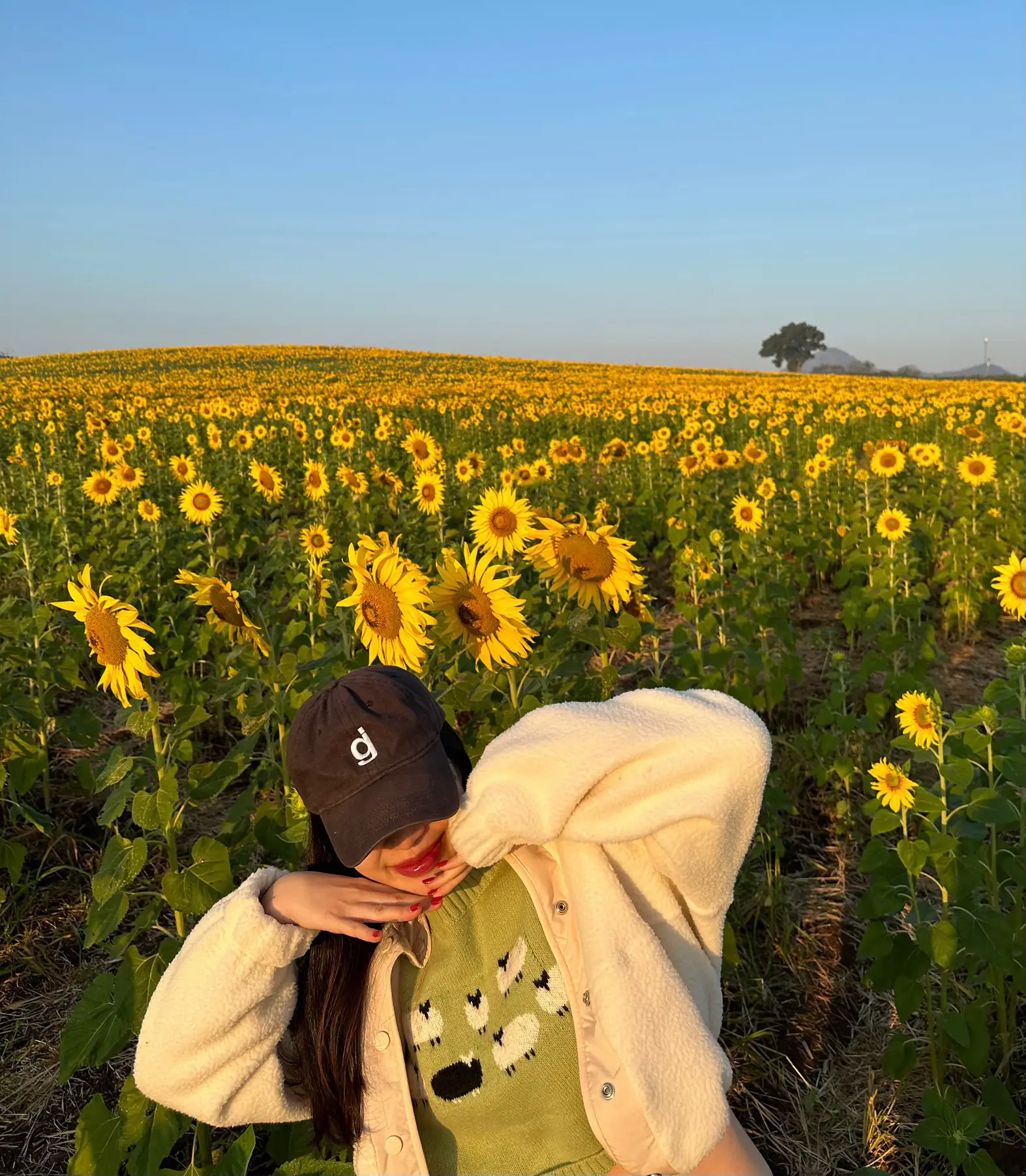 すでに咲いているひまわり🌻✨(18°C) | pimdaoが投稿したフォトブック | Lemon8