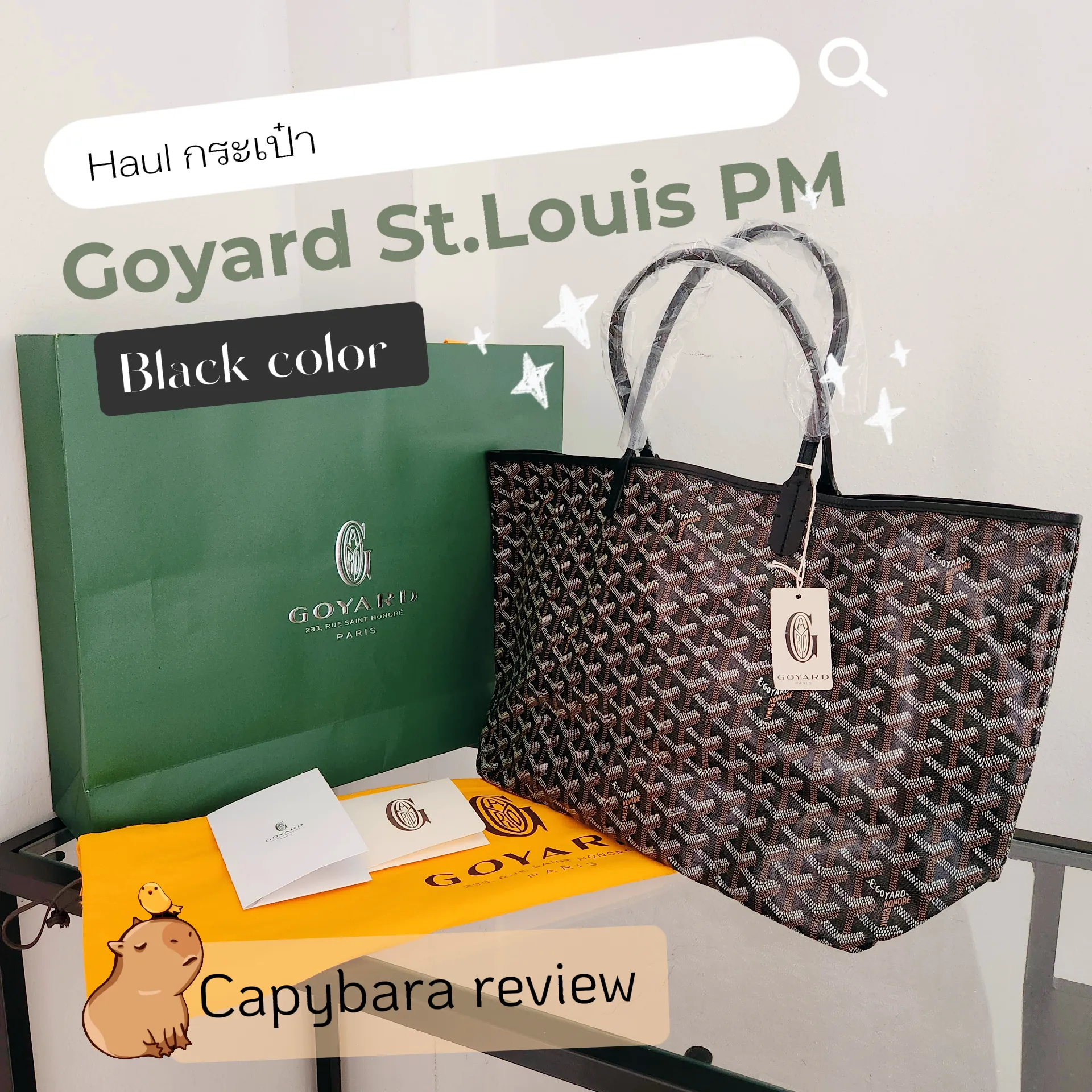 Goyard st louis pm bag size review ✓, Gallery posted by Nidsulove