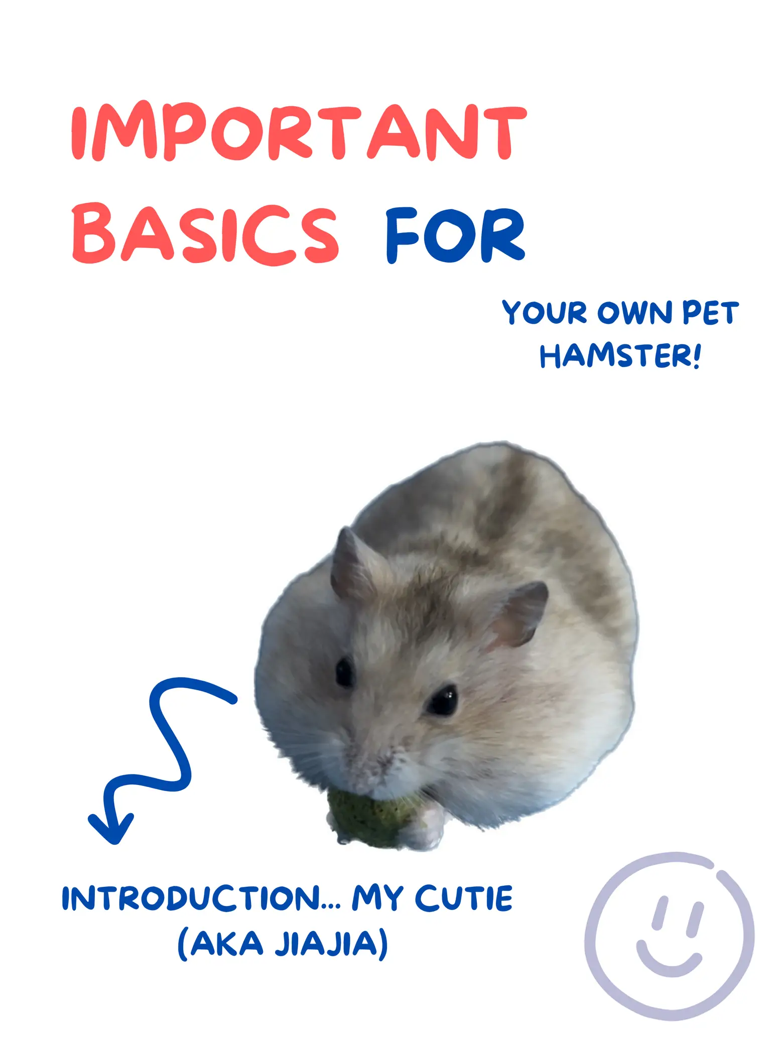 Proper hamster outlet diet