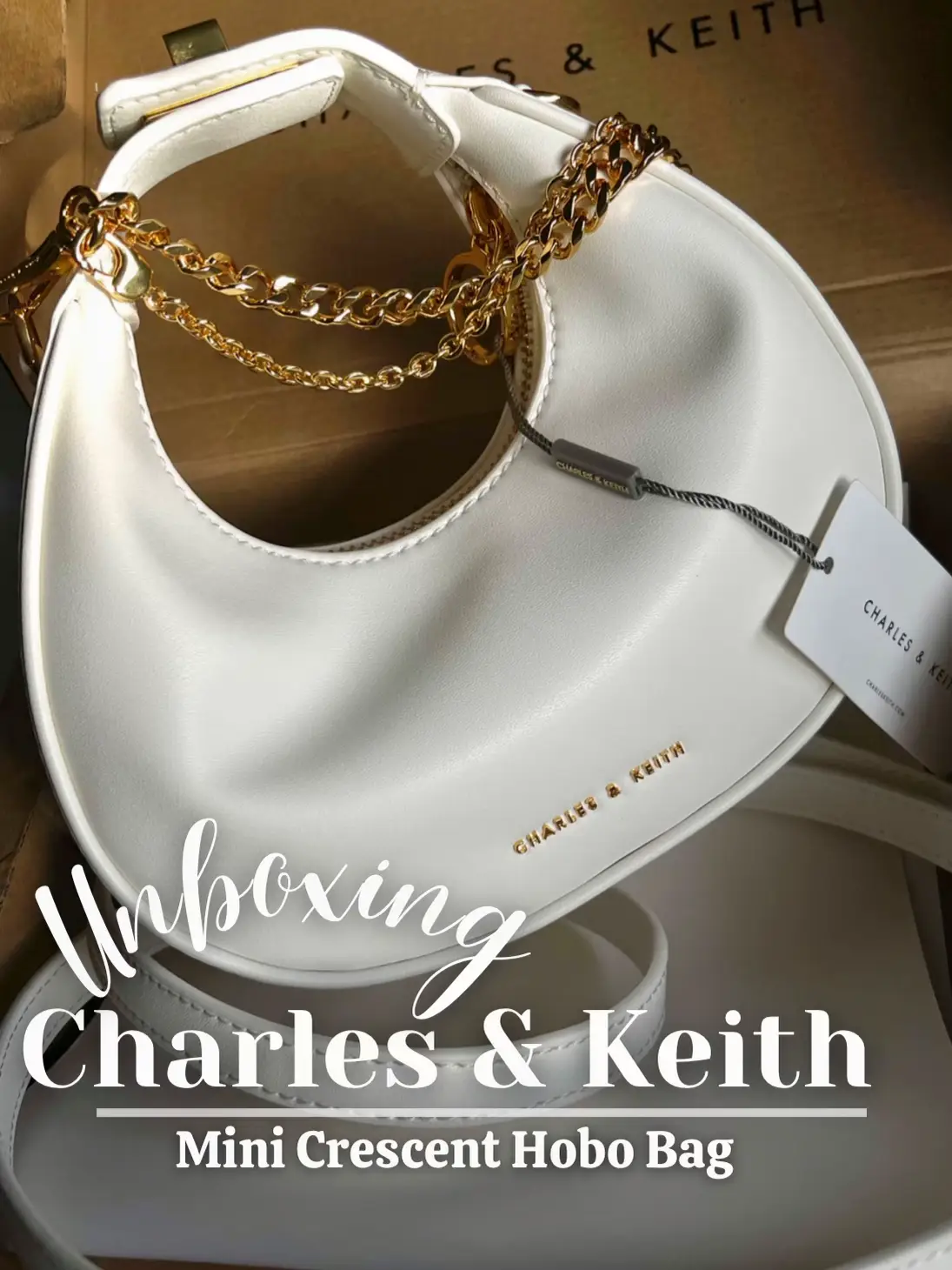 Charles & Keith Gabine Saddle Bag (Dark Brown) unboxing & review 