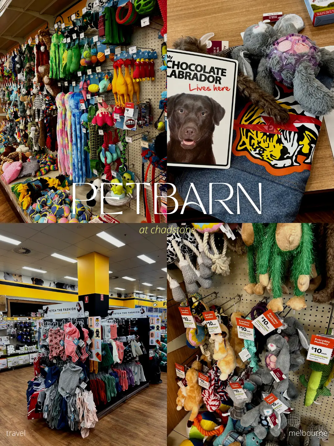 affordable pet supplies at these places Gallery posted by shirlyn Lemon8