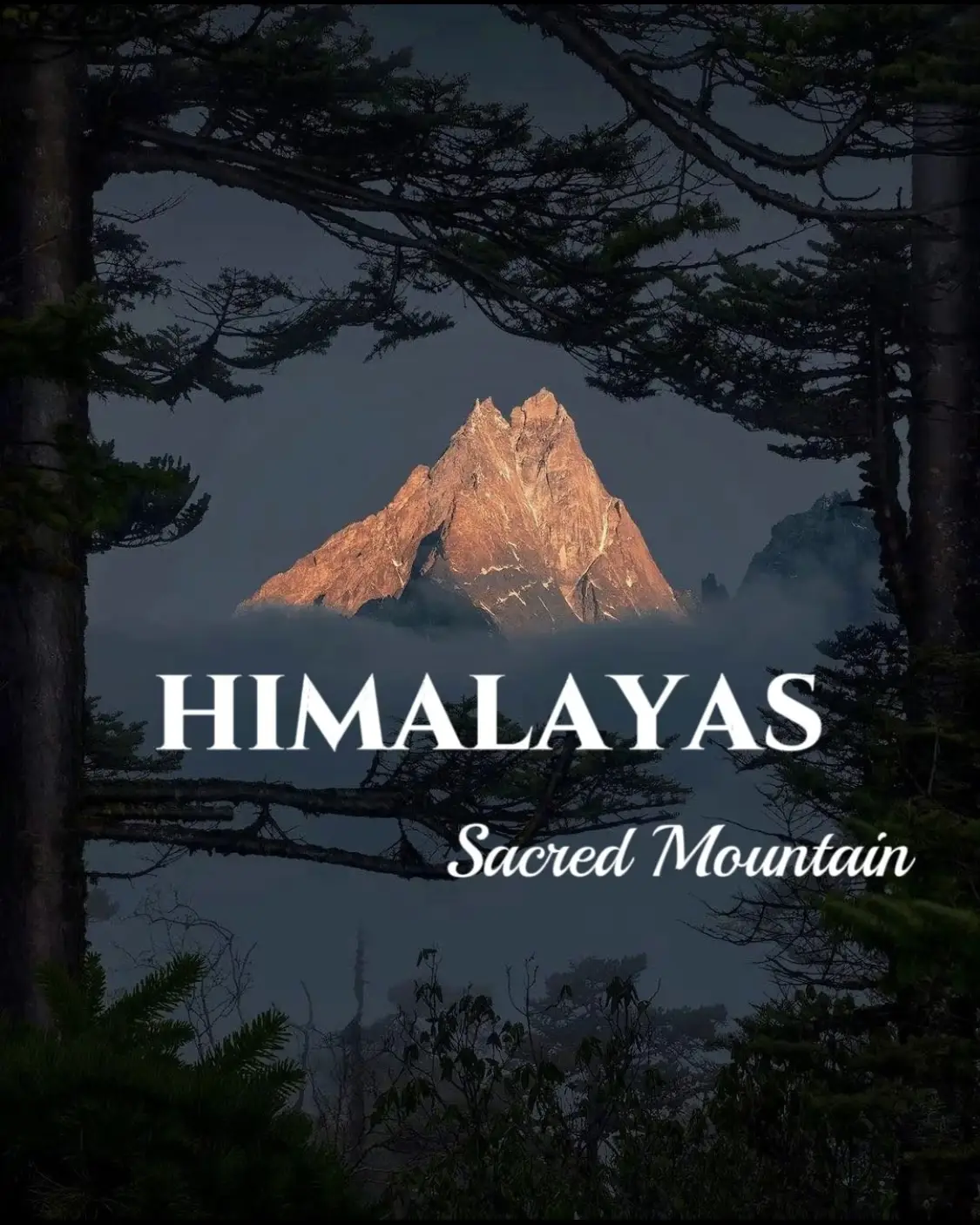 🗻A Once-in-a-lifetime Adventure to the Himalayas | Galeri diposting oleh  trip | Lemon8