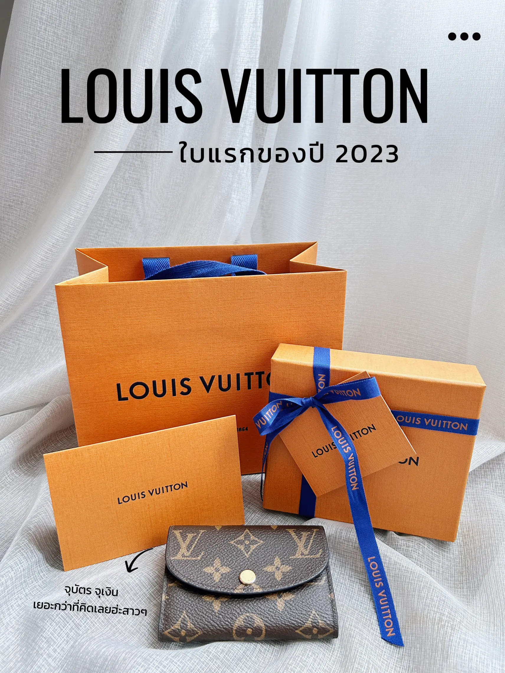 Louis Vuitton, Bags, Vintage Louis Vuitton Dust Bag What Goes Around  Comes Around W Original Card