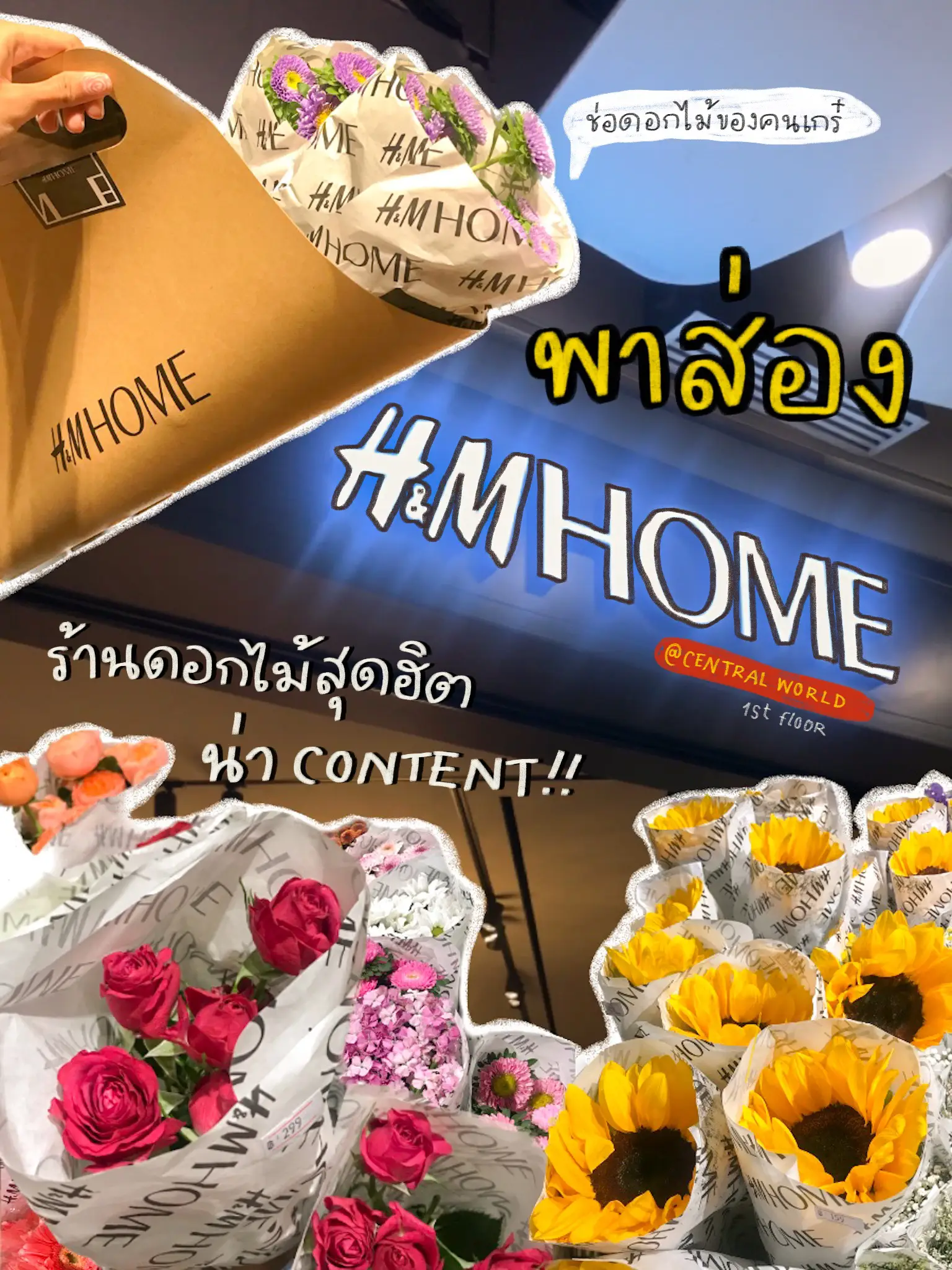 hmhome pt