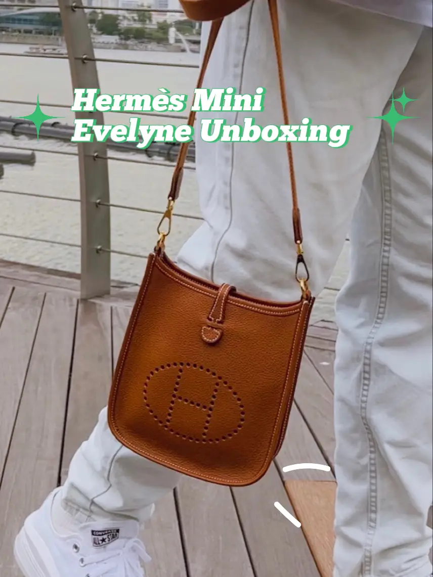 Hermès Mini Evelyne Unboxing 🥹, Video published by typicalben
