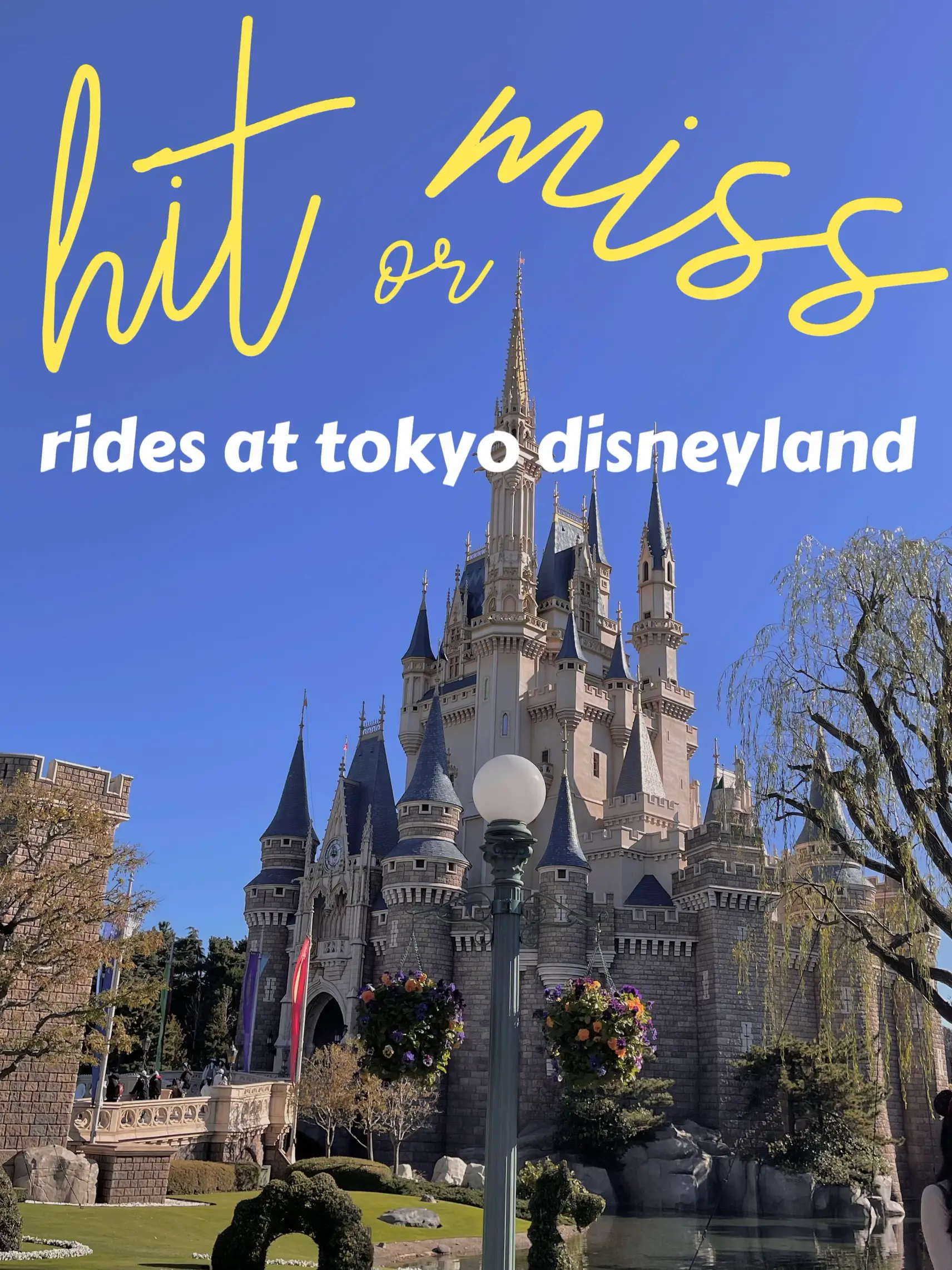 Enter a Magical Wonderland at the Shibuya Disney Store - Japan Journeys