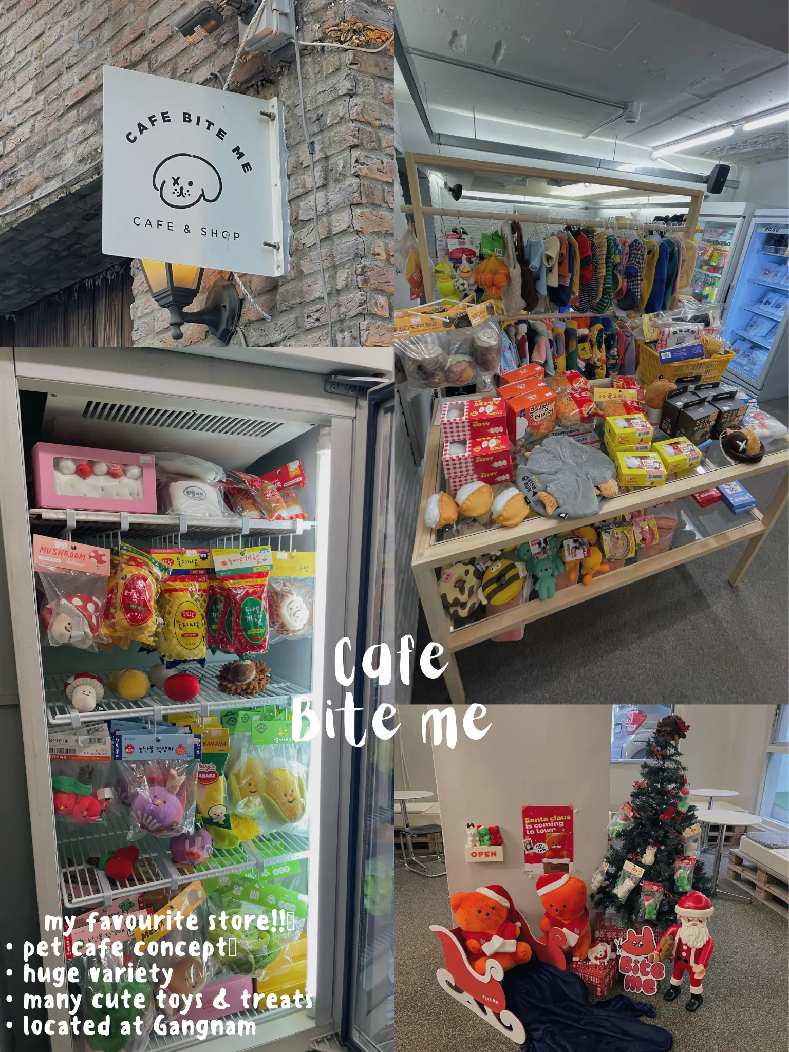 Pet stores to go in Korea Gallery posted by Joey Lemon8