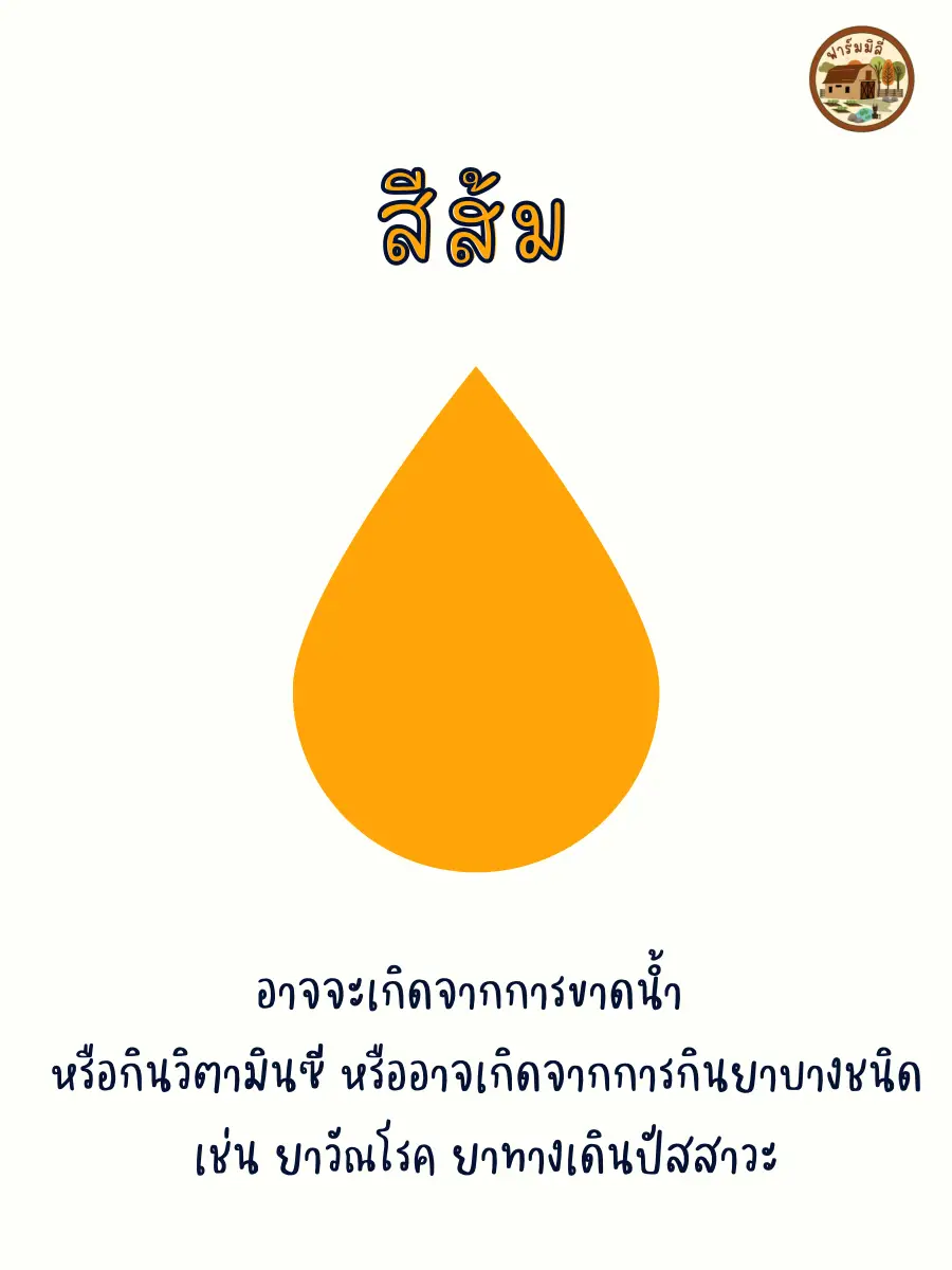 ปัสสาวะ…บ่งบอกโรค ???? | แกลเลอรีที่โพสต์โดย Farmily.Farm | Lemon8 ปัสสาวะ…บ่งบอกโรค ???? | แกลเลอรีที่โพสต์โดย Farmily.Farm | Lemon8