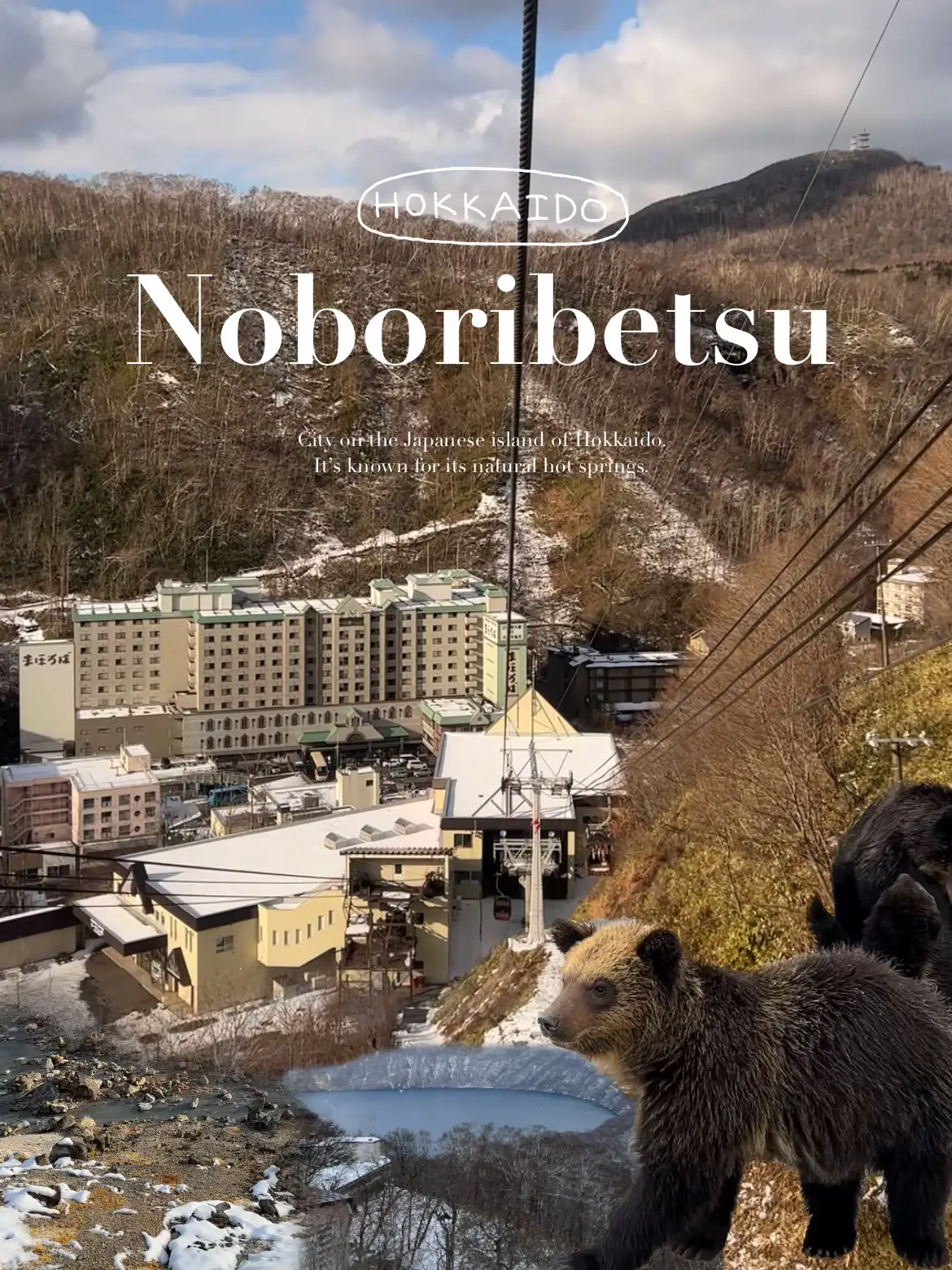 Why This Japanese Town Eats BEARS 