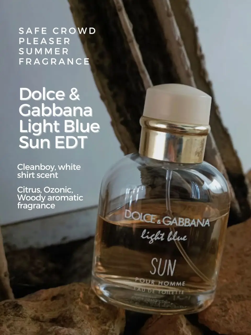 Dolce and gabbana sun clearance fragrance