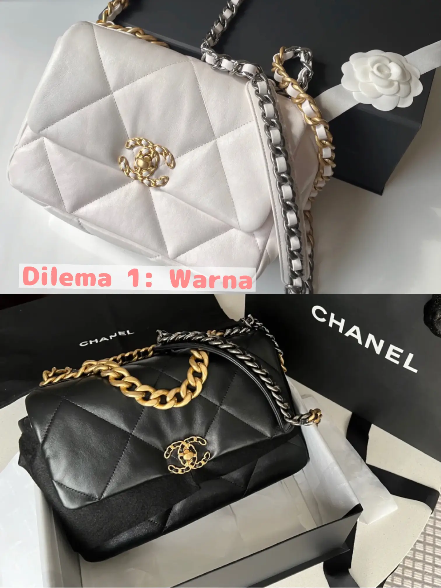 Chanel best sale 19 tas