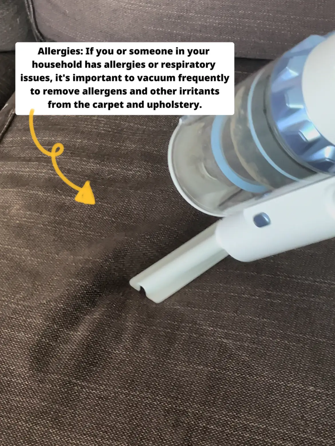 How Often Should You Vacuum ? แกลเลอรีที่โพสต์โดย Itslilykamal Lemon8