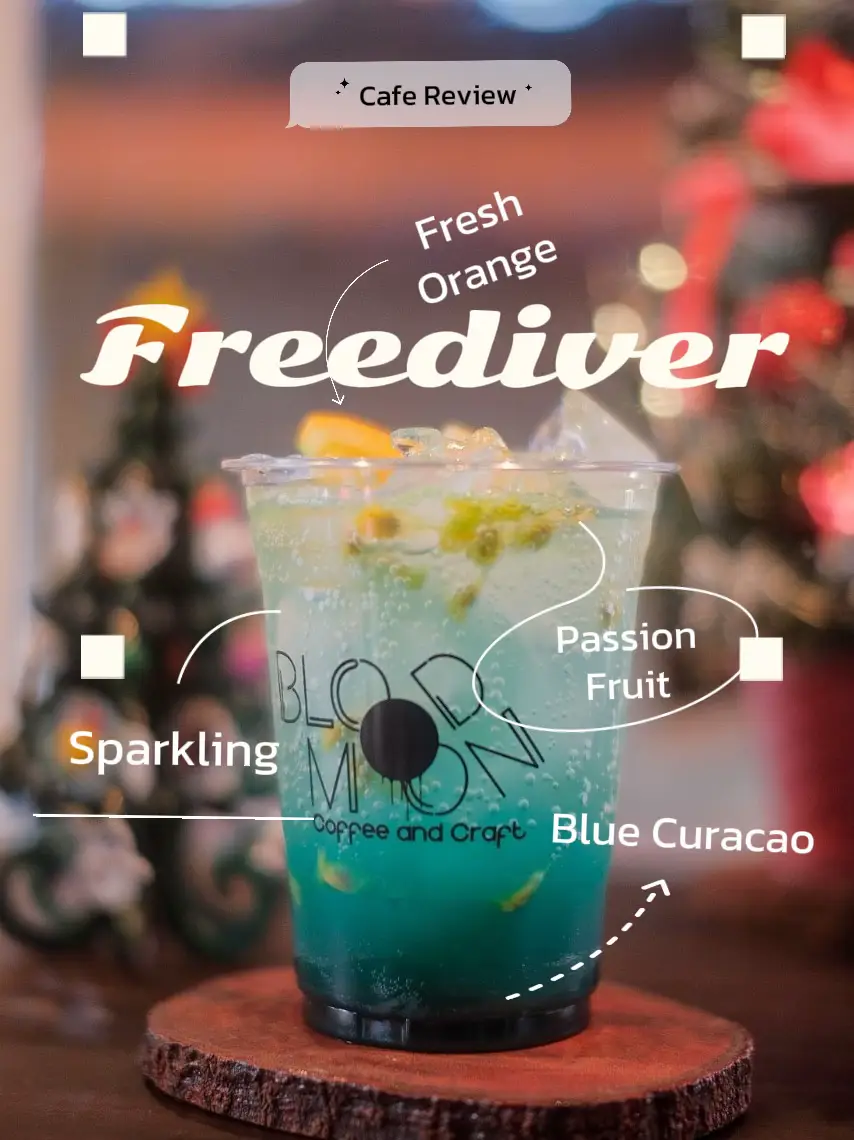 Freediver Soda or Beer Can Cooler