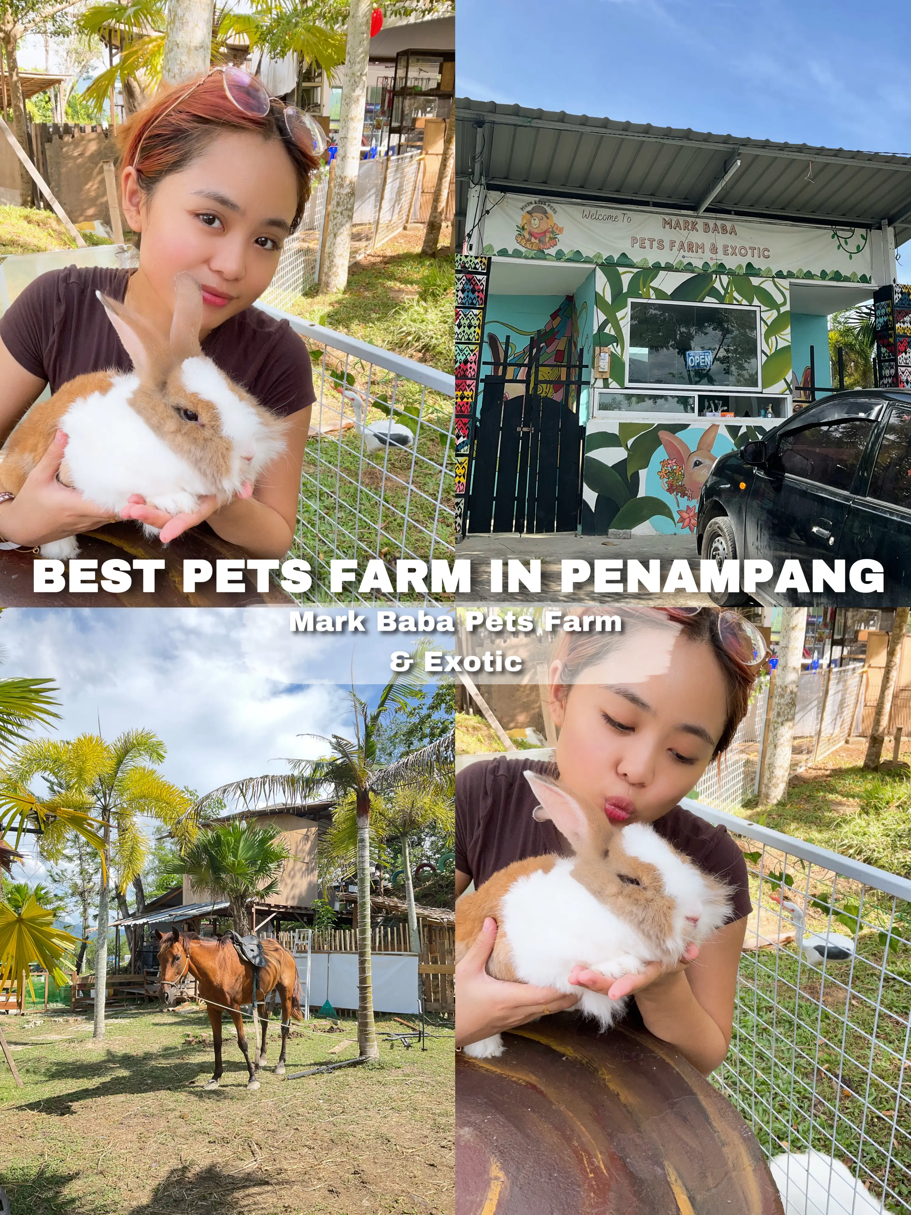 Best Pets Farm in Penampang, Sabah แกลเลอรีที่โพสต์โดย ashantharosary