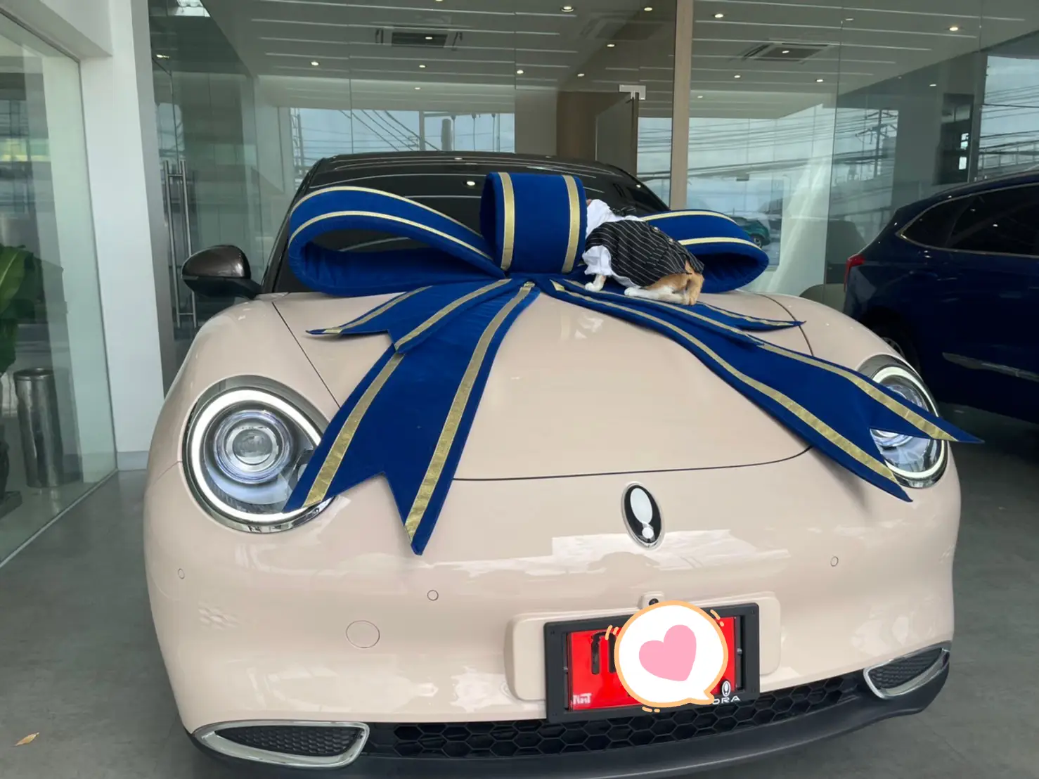 Ora Good Cat รถ EV สุดน่ารักกกก ทาสแมวต้องกรี๊ด!! | แกลเลอรีที่โพสต์โดย ...