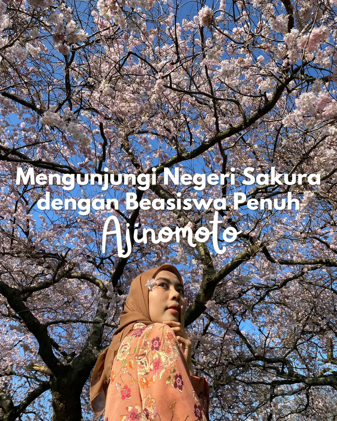 Mengunjungi Negeri Sakura Pakai Beasiswa Ajinomoto Galeri Diposting Oleh Enta Fadila Lemon8 5628