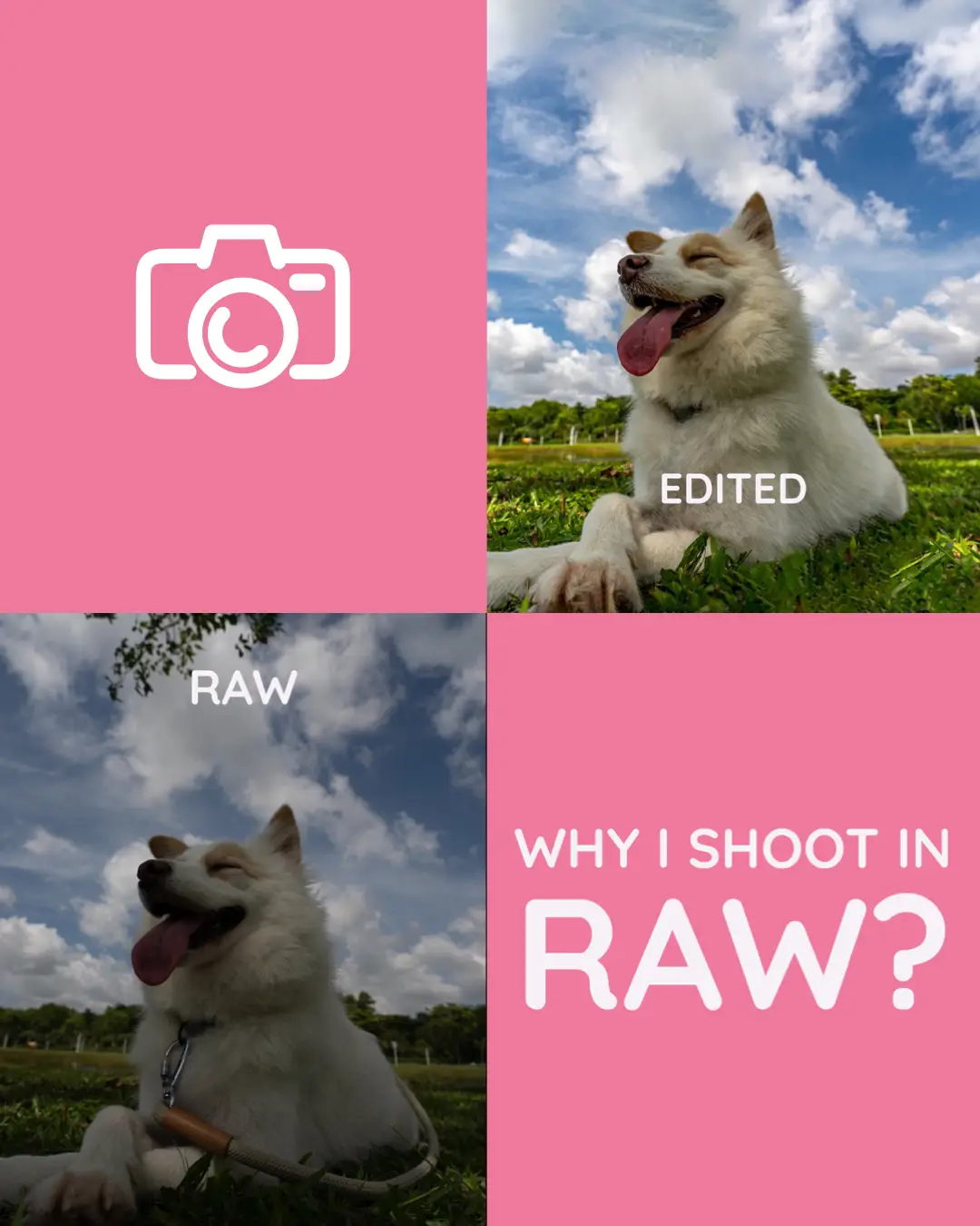 Raw Pics Lemon8 Search raw-pics-lemon8-search