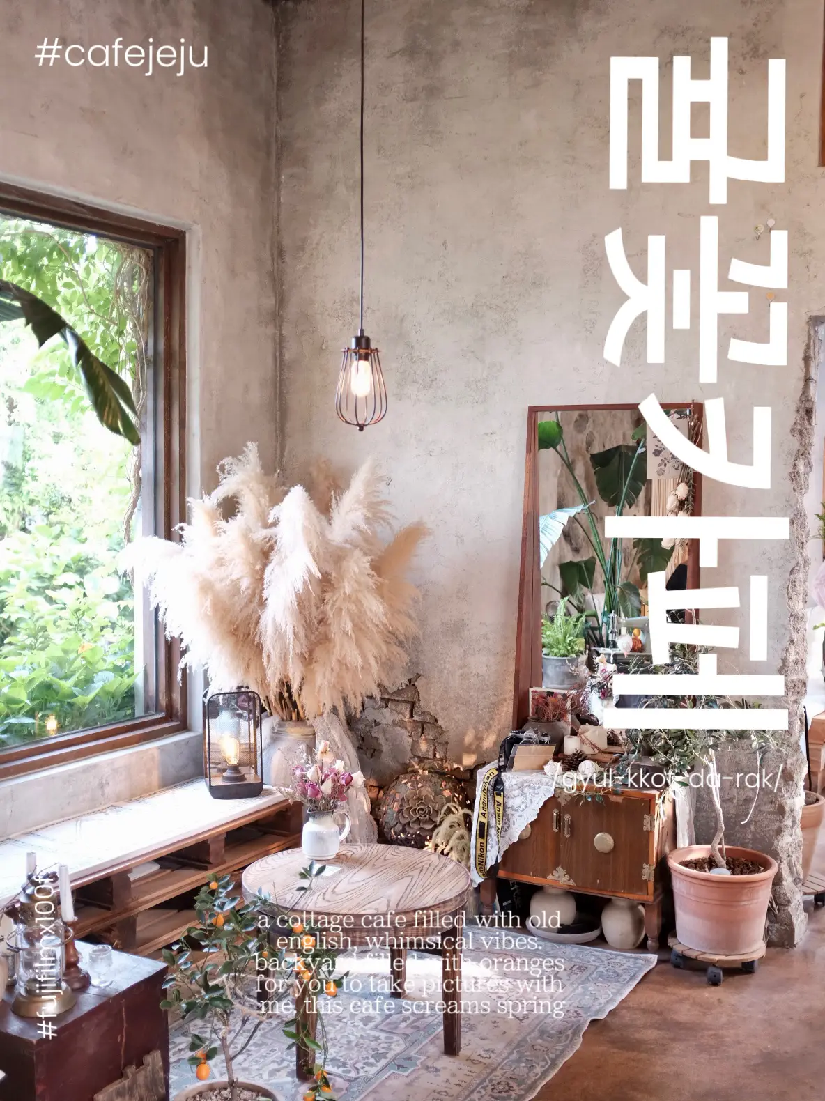 COTTAGE CAFE IN JEJU Gallery posted by tsuwenn Lemon8